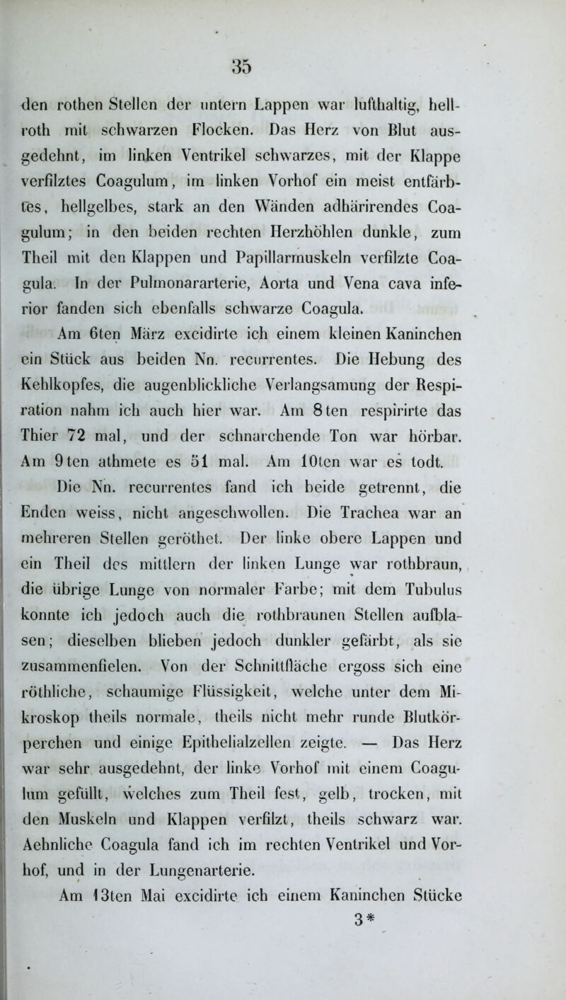 den rothen Stellen der entern Lappen war lufthaltig, hell- roth mit schwarzen Flocken. Das Herz von Blut aus- gedehnt, im linken Ventrikel schwarzes, mit der Klappe verfilztes Coagulum, im linken Vorhof ein meist entfärb- tes, hellgelbes, stark an den Wänden adhärirendes Coa- gulum; in den beiden rechten Herzhöhlen dunkle, zum Theil mit den Klappen und Papillarmuskeln verfilzte Coa- gula. In der Pulmonararterie, Aorta und Vena cava infe- rior fanden sich ebenfalls schwarze Coagula. Am 6ten März excidirte ich einem kleinen Kaninchen ein Stück aus beiden Nn. recurrentes. Die Hebung des Kehlkopfes, die augenblickliche Verlangsamung der Respi- ration nahm ich auch hier war. Am 8ten respirirte das Thier 72 mal, und der schnarchende Ton war hörbar. Am 9ten athmete es 51 mal. Am lOten war es todt. Die Nn. recurrentes fand ich beide getrennt, die Enden weiss, nicht angeschwollen. Die Trachea war an mehreren Stellen geröthet. Der linke obere Lappen und ein Theil des mittlern der linken Lunge war rothbraun, die übrige Lunge von normaler Farbe; mit dem Tubulus konnte ich jedoch auch die rothbraunen Stellen aufbla- sen; dieselben blieben jedoch dunkler gefärbt, als sie zusammenfielen. Von der Schnittfiäche ergoss sich eine röthliche, schaumige Flüssigkeit, welche unter dem Mi- kroskop theils normale, theils nicht mehr runde Blutkör- perchen und einige Epithelialzellen zeigte. — Das Herz war sehr ausgedehnt, der linke Vorhof mit einem Coagu- lum gefüllt, welches zum Theil fest, gelb, trocken, mit den Muskeln und Klappen verfilzt, theils schwarz war. Aehnliche Coagula fand ich im rechten Ventrikel und Vor- hof, und in der Lungenarterie. Am 13ten Mai excidirte ich einem Kaninchen Stücke 3*