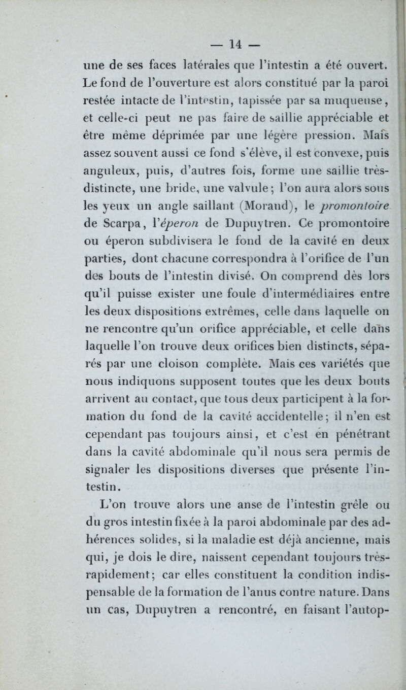 une de ses faces latérales que l’intestin a été ouvert. Le fond de l’ouverture est alors constitué par la paroi restée intacte de l’intestin, tapissée par sa muqueuse, et celle-ci peut ne pas faire de saillie appréciable et être même déprimée par une légère pression. Mais assez souvent aussi ce fond s’élève, il est convexe, puis anguleux, puis, d’autres fois, forme une saillie très- distincte, une bride, une valvule; l’on aura alors sous les yeux un angle saillant (Morand), le promontoire de Scarpa, l’éperon de Dupuytren. Ce promontoire ou éperon subdivisera le fond de la cavilé en deux parties, dont chacune correspondra à l’orifice de l’un des bouts de l’intestin divisé. On comprend dès lors qu’il puisse exister une foule d’intermédiaires entre les deux dispositions extrêmes, celle dans laquelle on ne rencontre qu’un orifice appréciable, et celle dans laquelle l’on trouve deux orifices bien distincts, sépa- rés par une cloison complète. Mais ces variétés que nous indiquons supposent toutes que les deux bouts arrivent au contact, que tous deux participent à la for- mation du fond de la cavité accidentelle; il n’en est cependant pas toujours ainsi, et c’est en pénétrant dans la cavité abdominale qu’il nous sera permis de signaler les dispositions diverses que présente l’in- testin. L’on trouve alors une anse de l’intestin grêle ou du gros intestin fixée à la paroi abdominale par des ad- hérences solides, si la maladie est déjà ancienne, mais qui, je dois le dire, naissent cependant toujours très- rapidement; car elles constituent la condition indis- pensable de la formation de l’anus contre nature. Dans un cas, Dupuytren a rencontré, en faisant l’autop-