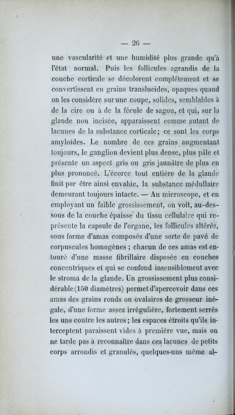une vascularité et une humidité plus grande qu’à l’état normal. Puis les follicules agrandis de la couche corticale se décolorent complètement et se convertissent en grains translucides, opaques quand on les considère sur une coupe, solides, semblables à de la cire ou à de la fécule de sagou, et qui, sur la glande non incisée, apparaissent comme autant de lacunes de la substance corticale; ce sont les corps amyloïdes. Le nombre de ces grains augmentant toujours, le ganglion devient plus dense, plus pâle et présente un aspect gris ou gris jaunâtre de plus en plus prononcé. L’écorce tout entière de la glande finit par être ainsi envahie, la substance médullaire demeurant toujours intacte. — Au microscope, et en employant un faible grossissement, on voit, au-des- sous de la couche épaisse du tissu cellulaire qui re- présente la capsule de l’organe, les follicules altérés, sous forme d’amas composés d’une sorte de pavé de corpuscules homogènes ; chacun de ces amas est en- touré d’une masse fibrillaire disposée en couches concentriques et qui se confond insensiblement avec le stroma de la glande. Un grossissement plus consi- dérable (150 diamètres) permet d’apercevoir dans ces amas des grains ronds ou ovalaires de grosseur iné- gale, d’une forme assez irrégulière, fortement serrés les uns contre les autres ; les espaces étroits qu’ils in- terceptent paraissent vides à première vue, mais on ne tarde pas à reconnaître dans ces lacunes de petits corps arrondis et granulés, quelques-uns même al- i