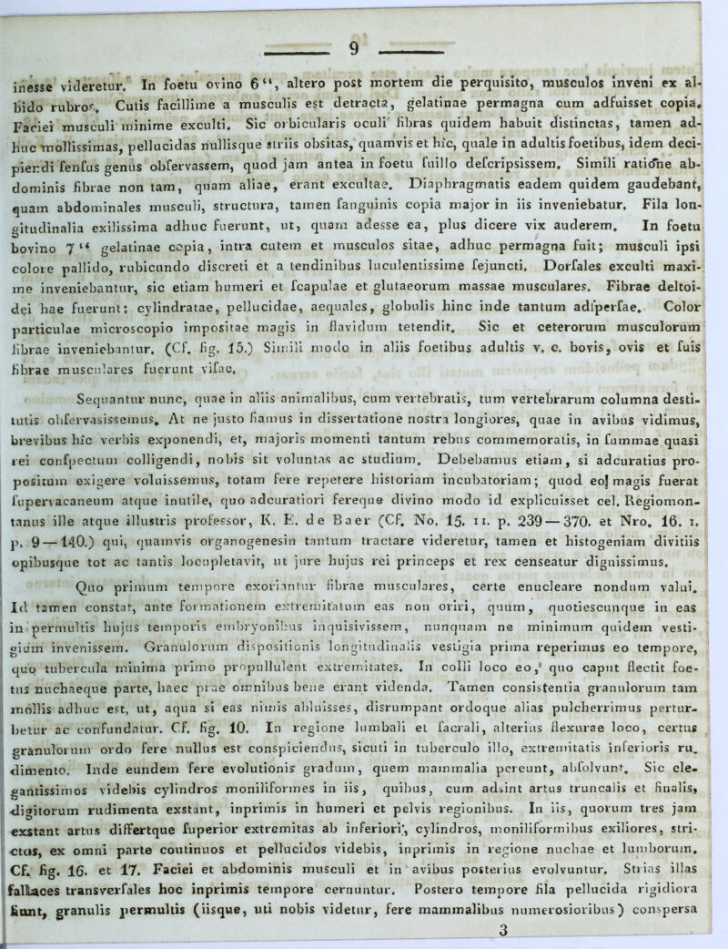 inesse videretur. In foeta ovino 6“, altero post mortem die perquisito, musculos inveni ex al- bido rubroc. Cutis facillime a musculis est detracta, gelatinae permagna cum adfuisset copia. Faciei musculi minime exculti. Sic orbicularis oculi fibras quidem habuit distinctas, tamen ad- huc mollissimas, pellucidas nullisque striis obsitas, quamvis et hic, quale in adultis foetibus, idem deci- piendi fenfus genus obfervassem, quod jam antea in foetu ftiillo defcripsissem. Simili ratidne ab- dominis fibrae non tam, quam aliae, erant excultae. Diaphragmatis eadem quidem gaudebant, quam abdominales musculi, structura, tamen [anguinis copia major in iis inveniebatur. Fila lon- oitudinalia exilissima adhuc fuerunt, ut, quam adesse ea, plus dicere vix auderem. In foetu •D m bovino 7“ gelatinae cepia, intra cutem et musculos sitae, adhuc permagna fuit; musculi ipsi colore pallido, rubicundo discreti et a tendinibus luculentissime fejuncti. Dorfales exculti maxi- me inveniebantur, sic etiam humeri et [capulae et glutaeorum massae musculares. Fibrae deltoi- dei hae fuerunt: cylindratae, pellucidae, aequales, globulis hinc inde tantum adlperfae. Color particulae microscopio impositae magis in flavidum tetendit. Sic et ceterorum musculorum fibrae inveniebamur. (Cf. fig, 15.) Simili modo in aliis foetibus adultis v. c. bovis, ovis et fuis fibrae musculares fuerunt vifac. Sequantur nunc, quae in aliis animalibus, cum vertebratis, tum vertebrarum columna desti- tutis ohfervasissemus. At ne justo fiamus in dissertatione nostra longiores, quae in avibus vidimus, brevibus hic verbis exponendi, et, majoris momenti tantum rebus commemoratis, in fummae quasi rei confpectum colligendi, nobis sit voluntas ac studium. Debebamus etiam, si adeuratius pro- positum exigere voluissemus, totam fere repetere historiam incubatoriam; quod eoj magis fuerat fupervacaneum atque inutile, quo adeuratiori fereque divino modo id explicuisset cel. Regiomon- tanus ille atque illustris professor, K. E. de Baer (Cf. No. 15. 11. p. 239 — 370. et Nro. 16. 1, p, 9 —140.) qui, quamvis organogenesin tantum tractare videretur, tamen et histogeniam divitiis opibusque tot ac tantis locupletavit, ut jure hujus rei princeps et rex censeatur dignissimus. Quo primum tempore exoriantur fibrae musculares, certe enucleare nondum valui. Id tamen constat, ante formationem extremitatum eas non oriri, quum, quotiescunque in eas in permultis hujus temporis embryonibus inquisivissem, nunquam ne minimum quidem vesti- gium invenissem. Granulorum dispositionis longitudinalis vestigia prima reperimus eo tempore, quo tubercula minima primo propullulent extremitates. In colli loco eo,s quo caput flectit foe- tus nuchaeque parte, haec prae omnibus bene erant videnda. Tamen consistentia granulorum tam mollis adhuc est, ut, aqua si eas nimis abluisses, disrumpant ordoque alias pulcherrimus pertur- betur ac confundatur. Cf. fig. 10. In regione lumbali eL facrali, alterius flexurae loco, certus granulorum ordo fere nullus est conspiciendus, sicuti in tuberculo illo, extremitatis inferioris ru. dimento. Inde eundem fere evolutioni? gradum, quem mammalia pereunt, abfolvimt. Sic cle- gantissimos videbis cylindros moniliformes in iis, quibus, cum adsint artus truncalis et finalis, <ligitorum rudimenta exstant, inprimis in humeri et pelvis regionibus. In iis, quorum tres jam exstant artus differtque fuperior extremitas ab inferiori', cylindros, moniliformibus exiliores, stri- ctas, ex omni parte coutinuos et pellucidos videbis, inprimis in regione nuchae et lumborum. Cf. fig. 16. et 17. Faciei et abdominis musculi et in avibus posterius evolvuntur. Sti ias illas fallaces transverfales hoc inprimis tempore cernuntur. Postero tempore fila pellucida rigidiora fiunt, granulis permultis (iisque, uti nobis videtur, fere mammalibus numerosioribus) conspersa 3