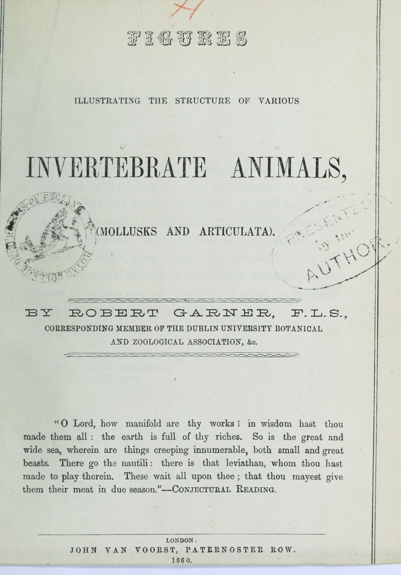 ILLUSTRATING THE STRUCTURE OF VARIOUS INVERTEBRATE ANIMALS, 33 IT 3R O IB IE 3R> T OrJ±.tt2>T ER, IF1. 33. S. CORRESPONDING MEMBER OF THE DUBLIN UNIVERSITY BOTANICAL AND ZOOLOGICAL ASSOCIATION, &c. “ 0 Lord, how manifold are thy works ! in wisdom hast thou made them all : the earth is full of thy riches. So is the great and wide sea, wherein are things creeping innumerable, both small and great beasts. There go the nautili: there is that leviathan, whom thou hast made to play therein. These wait all upon thee; that thou mayest give them their meat in due season.”—Conjectural Reading. LONDON: JOHN VAN VOORST, PATERNOSTER ROW.