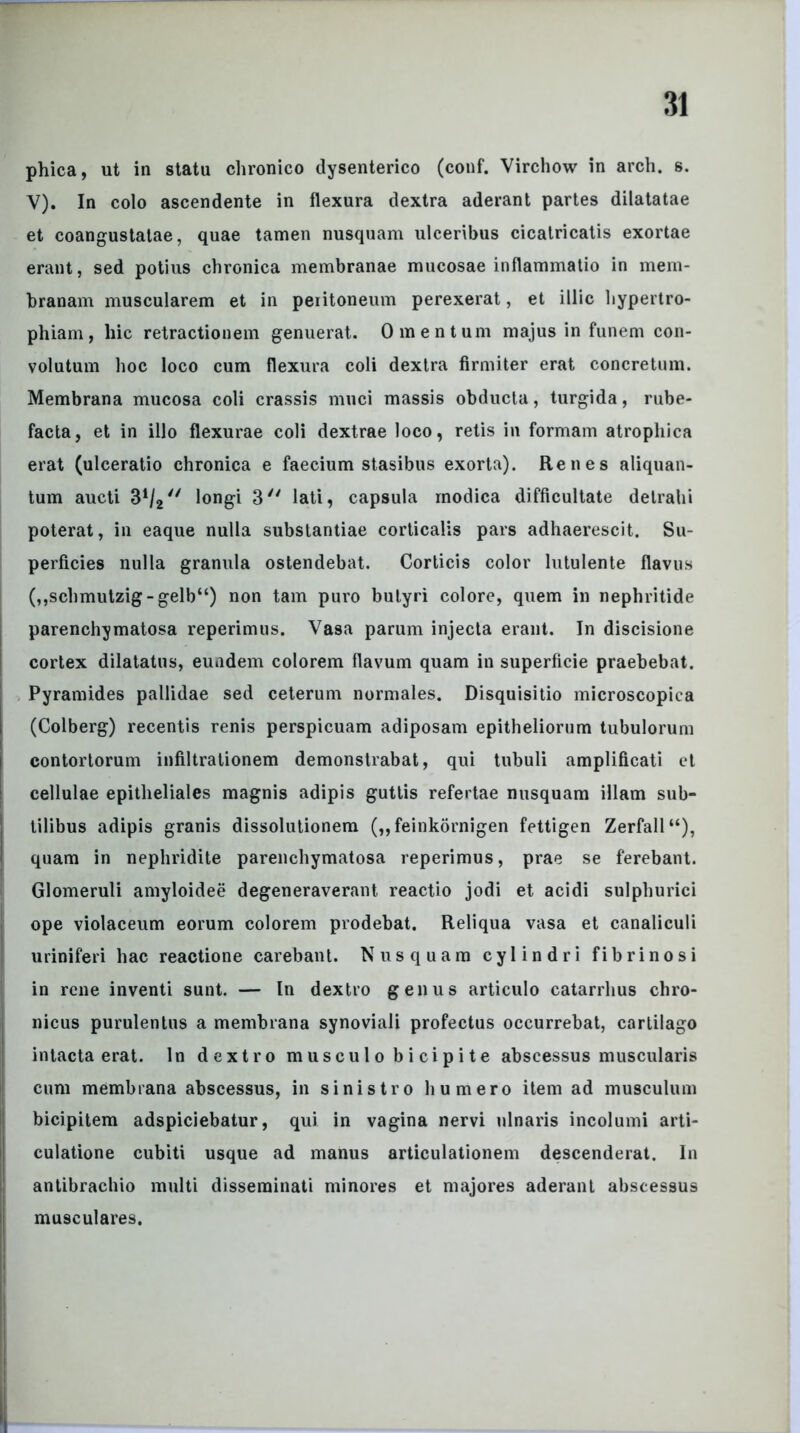 phica, ut in statu chronico dysenterico (conf. Virchow in arch. s. V). In colo ascendente in flexura dextra aderant partes dilatatae et coangustatae, quae tamen nusquam ulceribus cicatricatis exortae erant, sed potius chronica membranae mucosae inflammatio in mem- branam muscularem et in peritoneum perexerat, et illic hypertro- phiam, hic retractionem genuerat. Omentum majus in funem con- volutum hoc loco cum flexura coli dextra firmiter erat concretum. Membrana mucosa coli crassis muci massis obducta, turgida, rube- facta, et in illo flexurae coli dextrae loco, retis in formam atrophica erat (ulceratio chronica e faecium stasibus exorta). Renes aliquan- tum aucti 3V' longi 3 lati, capsula modica difficultate detrahi poterat, in eaque nulla substantiae corticalis pars adhaerescit. Su- perficies nulla granula ostendebat. Corticis color lutulente flavus (,,schmulzig-gelb“) non tam puro butyri colore, quem in nephritide parenchymatosa reperimus. Vasa parum injecta erant. In discisione cortex dilatatus, eundem colorem flavum quam in superficie praebebat. Pyramides pallidae sed ceterum normales. Disquisitio microscopica (Colberg) recentis renis perspicuam adiposam epitheliorum tubulorum contortorum infiltrationem demonstrabat, qui tubuli amplificati et cellulae epitheliales magnis adipis guttis refertae nusquam illam sub- tilibus adipis granis dissolutionem („feinkornigen fettigen Zerfall“), quam in nephridite parenchymatosa reperimus, prae se ferebant. Glomeruli amyloidee degeneraverant reactio jodi et acidi sulphurici ope violaceum eorum colorem prodebat. Reliqua vasa et canaliculi uriniferi hac reactione carebant. Nusquam cylindri fibrinosi in rene inventi sunt. — In dextro genus articulo catarrhus chro- nicus purulentus a membrana synoviali profectus occurrebat, cartilago intacta erat. In dextro musculo bicipite abscessus muscularis cum membrana abscessus, in sinistro humero item ad musculum bicipitem adspiciebatur, qui in vagina nervi ulnaris incolumi arti- culatione cubiti usque ad manus articulationem descenderat. In antibrachio multi disseminati minores et majores aderant abscessus musculares.