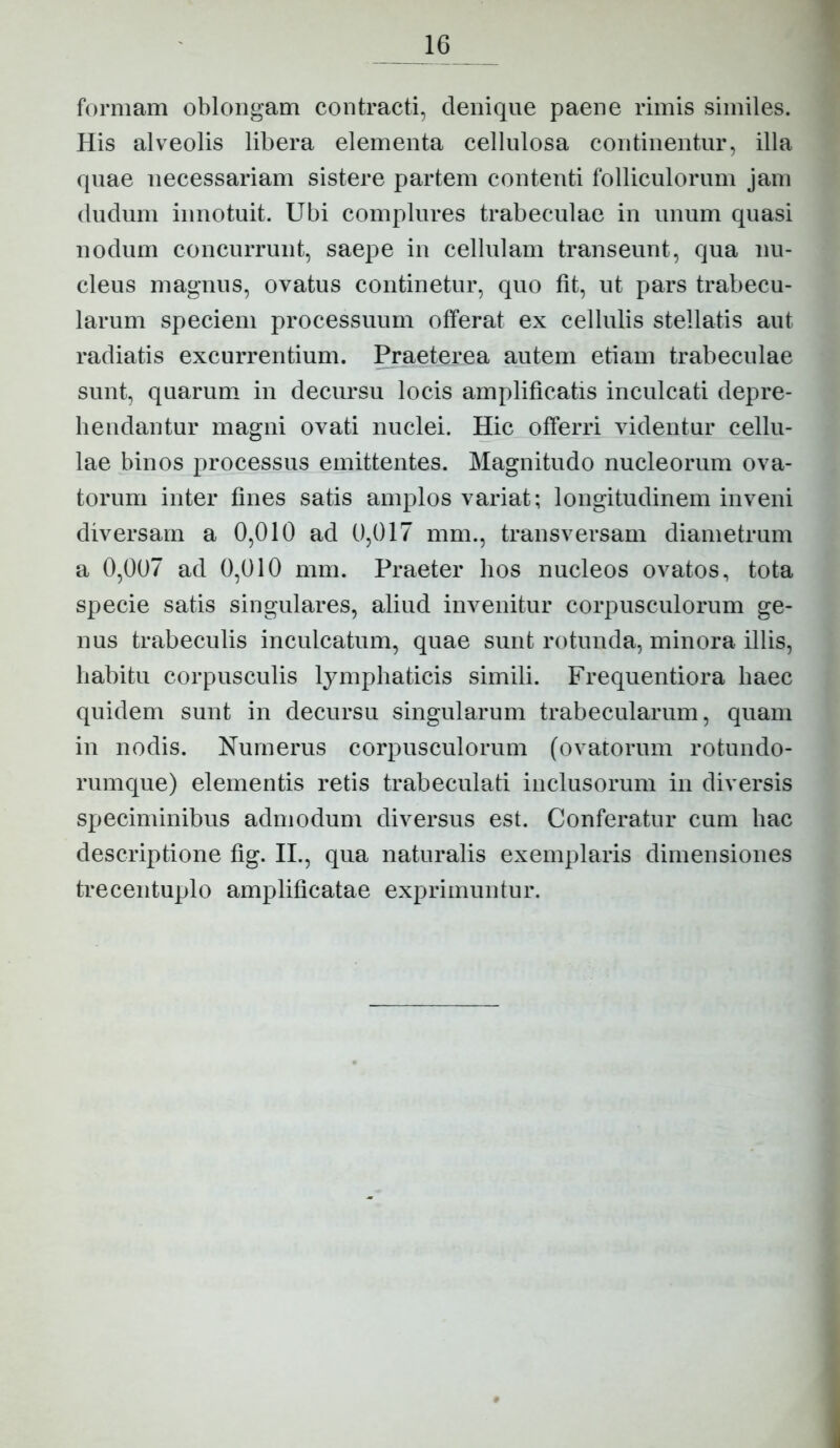 formam oblongam contracti, denique paene rimis similes. His alveolis libera elementa cellulosa continentur, illa quae necessariam sistere partem contenti folliculorum jam (ludum innotuit. Ubi complures trabeculae in imum quasi nodum concurrunt, saepe in cellulam transeunt, qua nu- cleus magnus, ovatus continetur, quo fit, ut pars trabecu- larum speciem processuum offerat ex cellulis stellatis aut radiatis excurrentium. Praeterea autem etiam trabeculae sunt, quarum in decursu locis amplificatis inculcati depre- hendantur magni ovati nuclei. Hic offerri videntur cellu- lae binos processus emittentes. Magnitudo nucleorum ova- torum inter fines satis amplos variat; longitudinem inveni diversam a 0,010 ad 0,017 mm., transversam diametrum a 0,007 ad 0,010 mm. Praeter hos nucleos ovatos, tota specie satis singulares, aliud invenitur corpusculorum ge- nus trabeculis inculcatum, quae sunt rotunda, minora illis, habitu corpusculis lymphaticis simili. Frequentiora haec quidem sunt in decursu singularum trabecularum, quam in nodis. Numerus corpusculorum (ovatorum rotundo- rumque) elementis retis trabeculati inclusorum in diversis speciminibus admodum diversus est. Conferatur cum hac descriptione fig. II., qua naturalis exemplaris dimensiones trecentuplo amplificatae exprimuntur.