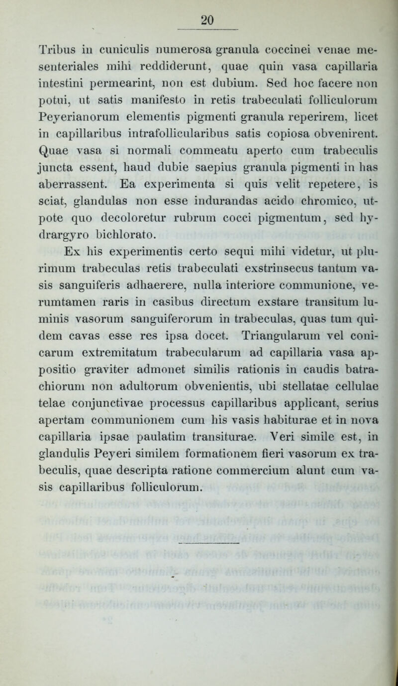 Tribus in cuniculis numerosa granula coccinei venae me- senteriales mihi reddiderunt, quae quin vasa capillaria intestini permearint, non est dubium. Sed hoc facere non potui, ut satis manifesto in retis trabeculati folliculorum Peyerianorum elementis pigmenti granula reperirem, licet in capillaribus intrafollicularibus satis copiosa obvenirent. Quae vasa si normali commeatu aperto cum trabeculis juncta essent, haud dubie saepius granula pigmenti in has aberrassent. Ea experimenta si quis velit repetere, is sciat, glandulas non esse indurandas acido chromico, ut- pote quo decoloretur rubrum cocci pigmentum, sed hy- drargyro bichlorato. Ex his experimentis certo sequi mihi videtur, ut plu- rimum trabeculas retis trabeculati exstrinsecus tantum va- sis sanguiferis adhaerere, nulla interiore communione, ve- rumtamen raris in casibus directum exstare transitum lu- minis vasorum sanguiferorum in trabeculas, quas tum qui- dem cavas esse res ipsa docet. Triangularum vel coni- carum extremitatum trabecularum ad capillaria vasa ap- positio graviter admonet similis rationis in caudis batra- chiorum non adultorum obvenientis, ubi stellatae cellulae telae conjunctivae processus capillaribus applicant, serius apertam communionem cum his vasis habiturae et in nova capillaria ipsae paulatim transiturae. Yeri simile est, in glandulis Peyeri similem formationem fieri vasorum ex tra- beculis, quae descripta ratione commercium alunt cum va- sis capillaribus folliculorum.