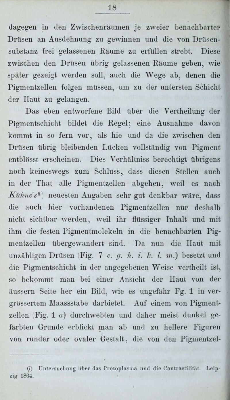 dagegen in den Zwischenräumen je zweier benachbarter Drüsen an Ausdehnung zu gewinnen und die von Drüsen- substanz frei gelassenen Räume zu erfüllen strebt. Diese zwischen den Drüsen übrig gelassenen Räume geben, wie später gezeigt werden soll, auch die Wege ab, denen die Pigmentzellen folgen müssen, um zu der untersten Schicht der Haut zu gelangen. Das eben entworfene Bild über die Vertheilung der Pigmentschiclit bildet die Regel; eine Ausnahme davon kommt in so fern vor, als hie und da die zwischen den Drüsen übrig bleibenden Lücken vollständig von Pigment entblösst erscheinen. Dies Verhältniss berechtigt übrigens noch keineswegs zum Schluss, dass diesen Stellen auch in der That alle Pigmentzellen abgehen, weil es nach Kühnes6) neuesten Angaben sehr gut denkbar wäre, dass die auch hier vorhandenen Pigmentzellen nur deshalb nicht sichtbar werden, weil ihr flüssiger Inhalt und mit ihm die festen Pigmentmolekeln in die benachbarten Pig- mentzellen übergewandert sind. Da nun die Haut mit unzähligen Drüsen (Fig. 7 e. g. h. i. Je. I. m.) besetzt und die Pigmentschicht in der angegebenen Weise vertheilt ist, so bekommt man bei einer Ansicht der Haut von der äussern Seite her ein Bild, wie es ungefähr Fg. 1 in ver- grössertem Maassstabe darbietet. Auf einem von Pigment- zellen (Fig. 1 ct) durchwebten und daher meist dunkel ge- färbten Grunde erblickt man ab und zu hellere Figuren von runder oder ovaler Gestalt, die von den Pigmentzel- 6) Untersuchung über das Protoplasma und die Contractilität. Leip- zig 1864.