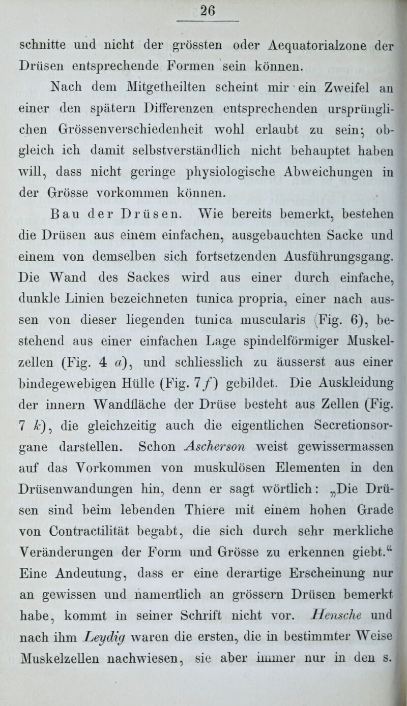 schnitte und nicht der grössten oder Aequatorialzone der Drüsen entsprechende Formen sein können. Nach dem Mitgetheilten scheint mir ein Zweifel an einer den spätem Differenzen entsprechenden ursprüngli- chen Grössenverschiedenheit wohl erlaubt zu sein* ob- gleich ich damit selbstverständlich nicht behauptet haben will, dass nicht geringe physiologische Abweichungen in der Grösse Vorkommen können. Bau der Drüsen. Wie bereits bemerkt, bestehen die Drüsen aus einem einfachen, ausgebauchten Sacke und einem von demselben sich fortsetzenden Ausführungsgang. Die Wand des Sackes wird aus einer durch einfache, dunkle Linien bezeichneten tunica propria, einer nach aus- sen von dieser liegenden tunica muscularis (Fig. 6), be- stehend aus einer einfachen Lage spindelförmiger Muskel- zellen (Fig. 4 a), und schliesslich zu äusserst aus einer bindegewebigen Hülle (Fig. 7/) gebildet. Die Auskleidung der innern Wandfläche der Drüse besteht aus Zellen (Fig. 7 &), die gleichzeitig auch die eigentlichen Secretionsor- gane darstellen. Schon Ascherson weist gewissermassen auf das Vorkommen von muskulösen Elementen in den Drüsenwandungen hin, denn er sagt wörtlich: „Die Drü- sen sind beim lebenden Thiere mit einem hohen Grade von Contractilität begabt, die sich durch sehr merkliche Veränderungen der Form und Grösse zu erkennen giebt.u Eine Andeutung, dass er eine derartige Erscheinung nur an gewissen und namentlich an grossem Drüsen bemerkt habe, kommt in seiner Schrift nicht vor. Hensche und nach ihm Leydig waren die ersten, die in bestimmter Weise Muskelzellen nachwiesen, sie aber immer nur in den s.