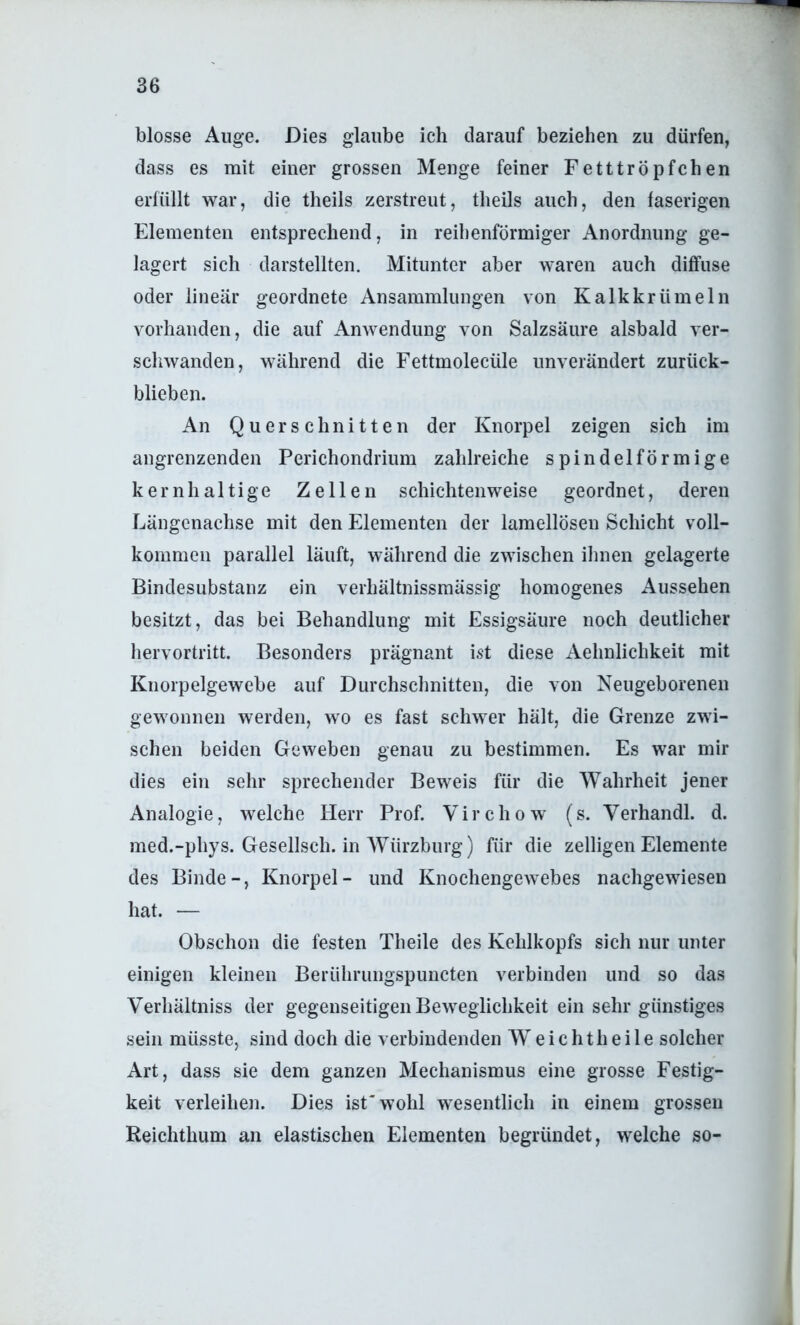 blosse Auge. Dies glaube ich darauf beziehen zu dürfen, dass es mit einer grossen Menge feiner Fetttröpfchen erfüllt war, die theils zerstreut, theils auch, den faserigen Elementen entsprechend, in reihenförmiger Anordnung ge- lagert sich darstellten. Mitunter aber waren auch diffuse oder linear geordnete Ansammlungen von Kalkkriimeln vorhanden, die auf Anwendung von Salzsäure alsbald ver- scliwanden, während die Fettmolecüle unverändert zurück- blieben. An Querschnitten der Knorpel zeigen sich im angrenzenden Perichondrium zahlreiche spindelförmige kernhaltige Zellen schichtenweise geordnet, deren Längenachse mit den Elementen der lamellösen Schicht voll- kommen parallel läuft, während die zwischen ilinen gelagerte Bindesubstanz ein verhältnissmässig homogenes Aussehen besitzt, das bei Behandlung mit Essigsäure noch deutlicher hervortritt. Besonders prägnant ist diese Aehnlichkeit mit Knorpelgewebe auf Durchschnitten, die von Neugeborenen gewonnen werden, wo es fast schwer hält, die Grenze zwi- schen beiden Geweben genau zu bestimmen. Es war mir dies ein sehr sprechender Beweis für die Wahrheit jener Analogie, welche Herr Prof. Virchow (s. Verhandl. d. med.-phys. Gesellsch. in Würzburg) für die zelligen Elemente des Binde-, Knorpel- und Knochengewebes nachgewiesen hat. — Obschon die festen Theile des Kehlkopfs sich nur unter einigen kleinen Beriihrungspuncten verbinden und so das Verhältniss der gegenseitigen Beweglichkeit ein sehr günstiges sein müsste, sind doch die verbindenden W^ e i c h t h e i 1 e solcher Art, dass sie dem ganzen Mechanismus eine grosse Festig- keit verleihen. Dies ist'wohl wesentlich in einem grossen Reichthum an elastischen Elementen begründet, welche so-