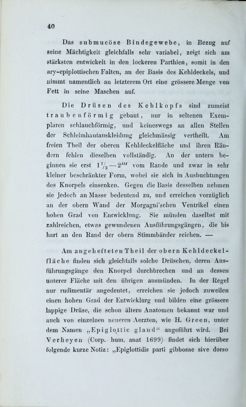 Das submucöse Bindegewebe, in Bezug auf seine Mächtigkeit gleichfalls sehr variabel, zeigt sich am stärksten entwickelt in den lockeren Parthien, somit in den ary-epiplottischen Falten, an der Basis des Kehldeckels, und nimmt namentlich an letzterem Ort eine grössere Menge von Fett in seine Maschen auf. Die Drüsen des Kehlkopfs sind zumeist traub en förmig gebaut, nur in seltenen Exem- plaren schlauchförmig, und keineswegs an allen Stellen der Schleimhautauskleidung gleichmässig vertheilt. Am freien Theil der oberen Kehldeckelfläche und ihren Rän- dern fehlen dieselben vollständig. An der untern be- ginnen sie erst 1’/g — 2^'' vom Rande und zwar in sehr kleiner beschränkter Form, wobei sie sich in Ausbuchtungen des Knorpels einsenken. Gegen die Basis desselben nehmen sie jedoch an Masse bedeutend zu, und erreichen vorzüglich an der obern AVand der Morgagni’schen Ventrikel einen hohen Grad von Entwicklung. Sie münden daselbst mit zahlreichen, etwas gewundenen Ausführungsgängen, die bis hart an den Rand der obern Stimmbänder reichen. — Am angehefteten Thei 1 der obern Kehldeckel- fläche finden sich gleichfalls solche Drüschen, deren Aus- führungsgänge den Knorpel durchbrechen und an dessen unterer Fläche mit den übrigen ausmünden. In der Regel nur rudimentär angedeutet, erreichen sie jedoch zuweilen einen hohen Grad der Entwicklurg und bilden eine grössere lappige Drüse, die schon ältern Anatomen bekannt war und auch von einzelnen neueren Aerzten, wie H. Green, unter dem Namen „Epiglo^ttic gland^‘ angeführt wird. Bei Verheyen (Corp. hum. anat 1699) findet sich hierüber folgende kurze Notiz: „Epiglottidis parti gibbosae sive dorso