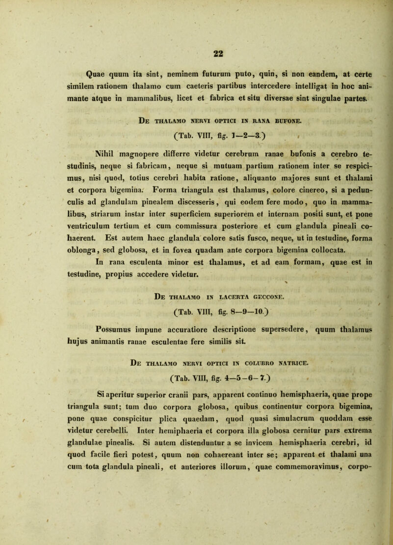 Quae quum ita sint, neminem futurum puto, quin, si non eandem, at certe similem rationem thalamo cum caeteris partibus intercedere intelligat in hoc ani- mante atque in mammalibus, licet et fabrica et situ diversae sint singulae partes. De thalamo nervi optici in rana bufone. (Tab. VIII, fiff. 1—2—3.) / 'Nihil 'magnopere differre videtur cerebrum ranae bufonis a cerebro te- studinis, neque si fabricam, neque si mutuam partium rationem inter se respici- mus, nisi quod, totius cerebri habita ratione, aliquanto majores sunt et thalami et corpora bigemina. Forma triangula est thalamus, colore cinereo, si a pedun- ' culis ad glandulam pinealem discesseris, qui eodem fere modo, quo in mamma- libus, striarum instar inter superficiem superiorem et internam positi sunt, et pone ventriculum tertium et cum commissura posteriore et cum glandula pineali co- haerent. Est autem haec glandula colore satis fusco, neque, ut in testudine, forma oblonga, sed globosa, et in fovea quadam ante corpora bigemina collocata. In rana esculenta minor est thalamus, et ad eam formam, quae est in testudine, propius accedere videtur. De thalamo in lacerta geccone. (Tab. VIll, fig. 8-9-10.) Possumus impune accuratiore descriptione supersedere, quum thalamus hujus animantis ranae esculentae fere similis sit. r De thalamo nervi optici in colubro natrice. (Tab. VIII, fig. 4-5-6-7.) Si aperitur superior cranii pars, apparent continuo hemisphaeria, quae prope triangula sunt; tum duo corpora globosa, quibus continentur corpora bigemina, pone quae conspicitur plica quaedam, quod quasi simulacrum quoddam esse videtur cerebelli. Inter hemiphaeria et corpora illa globosa cernitur pars extrema glandulae pinealis. Si autem distenduntur a se invicem hemisphaeria cerebri, id quod facile fieri potest, quum non cohaereant inter se; apparent et thalami una cum tota glandula pineali, et anteriores illorum, quae commemoravimus, corpo- \