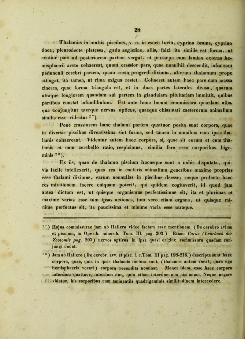 Thalamus in multis piscibus, v. c. in esoce lucio, cyprino brama, cyprino tinca, pleuronecte platessa, gado aeglehno, aliis, falci ita similis est forma, ut acutior pars ad posteriorem partem vergat, et persaepe cum lamina externa he- misphaerii arcte cohaereat, quum crassior pars, quae nonnihil descendit, infra eam pedunculi cerebri partem, quam recta progredi diximus, alterum thalamum prope attingat, ita tamen, ut rima exigua restet. Cohaeret autem haec pars cum massa cinerea, quae forma triangula est, et in duas partes laterales divisa, quarum utraque longiorem quandam sui partem in glandulam pituitariam immittit, quibus partibus constat infundibulum. Est ante hunc locum commissura quaedam alba, qua conjungitur uterque nervus opticus, quaeque chiasmati caeterorum animalimn similis esse videatur Pone crassiorem hanc thalami partem quattuor posita sunt corpora, quae in diversis piscibus diversissima sint forma, sed tamen in omnibus cum ipsis tha- lamis cohaereant. Videntur autem haec corpora, si, quae sit eorum et cum tha- lamis et cum cerebello ratio, respicimus, similia fere esse corporibus bige- minis ' Ex iis, quae de thalamo piscium hucusque sunt a nobis disputata, qui- vis facile intellexerit, quas res in caeteris animalium generibus maxime proprias esse thalami diximus, earum nonnullas in piscibus deesse; neque profecto haec res mirationem facere cuiquam poterit, qui quidem cogitaverit, id quod jam antea dictum est, ut quisque organismus perfectissimus sit, ita et plurimas et maxime varias esse tum ipsas actiones, tum vero etiam organa, ut quisque mi- nime perfectus sit, ita paucissima et minime varia esse utraque. Hujus commissurae jam ab Hallero video factam esse mentionem. (^De cerebro avium et piscium, in Operib. minorib. Tom. III. pag. 203.) Etiam Carus (Lehrbuch der Zootomie pag. 207) nervos opticos in ipsa quasi origine commissura quadam con- ^ jungi docet. ■^*) Jam ab Hallero (^De cerebr. avv. et pise. 1. c.Tom. III pag. 198-216.) descripta sunt haec corpora, quae, quia in ipsis thalamis inclusa sunt, (thalamos autem vocat, ^uae ego hemisphaeria vocavi) corpora recondita nominat. Monet idem, esse haec corpora .interdum quattuor, interdum duo, quin etiam interdum non nisi unum. Neque negare ('.' videtur, hia corporibus cum eminentiis quadrigeminis similitudinem intercedere.