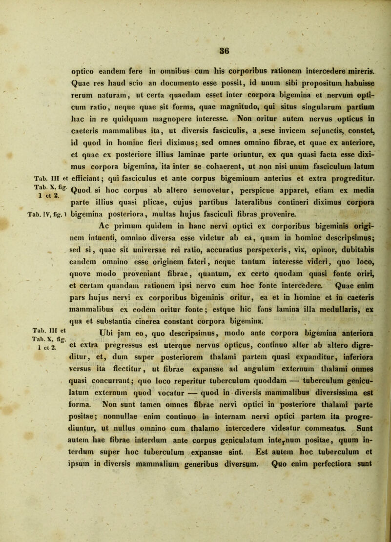 optico eandem fere in omnibus cum his corporibus rationem intercedere mireris. Quae res haud scio an documento esse possit, id unum sibi propositum habuisse rerum naturam, ut certa quaedam esset inter corpora bigemina et nervum opti- cum ratio, neque quae sit forma, quae magnitudo, qui situs singularum partium hac in re quidquam magnopere interesse. Non oritur autem nervus opticus io caeteris mammalibus ita, ut diversis fasciculis, a sese invicem sejunctis, constet, id quod in homine heri diximus; sed omnes omnino librae, et quae ex anteriore, et quae ex posteriore illius laminae parte oriuntur, ex qua quasi facta esse dixi- mus corpora bigemina, ita inter se cohaerent, ut non nisi unum fasciculum latum Tab. III et efficiant; qui fasciculus et ante corpus bigeminum anterius et extra progreditur. Quod si hoc corpus ab altero semovetur, perspicue apparet, etiam ex media parte illius quasi plicae, cujus partibus lateralibus contineri diximus corpora Tab. IV, fig. 1 bigemina posteriora, multas hujus fasciculi fibras provenire. Ac primum quidem in hanc nervi optici ex corporibus bigeminis origi- nem intuenti, omnino diversa esse videtur ab ea, quam in homine descripsimus; sed si, quae sit universae rei ratio, accuratius perspexeris, vix, opinor, dubitabis , eandem omnino esse originem fateri, neque tantum interesse videri, quo loco, quove modo proveniant fibrae, quantum, ex certo quodam quasi fonte oriri, et certam quandam rationem ipsi nervo cum hoc fonte intercedere. Quae enim pars hujus nervi ex corporibus bigeminis oritur, ea et in homine et in caeteris mammalibus ex eodem oritur fonte; estque hic fons lamina illa medullaris, ex ' qua et substantia cinerea constant corpora bigemina. Tab. 111 et Ubi jam eo, quo descripsimus, modo ante corpora bigemina anteriora Tab. X, lig. Ict2. extra pregressus est uterque nervus opticus, contmuo alter ab altero digre- ditur, et, dum super posteriorem thalami partem quasi expanditur, inferiora ,, versus ita flectitur, ut fibrae expansae ad angulum externum thalami omnes quasi concurrant; quo loco reperitur tuberculum quoddam — tuberculum genicu- latum externum quod vocatur — quod in-diversis mammalibus diversissima est forma. Non sunt tamen omnes fibrae nervi optici in posteriore thalami parte positae; nonnullae enim continuo in internam nervi optici partem ita progre- diuntur, ut nullus omnino cum thalamo intercedere videatur commeatus. Sunt autem hae fibrae interdum ante corpus geniculatum internum positae, quum in- terdum super hoc tuberculum expansae sint. Est autem hoc tuberculum et ipsum in diversis mammalium generibus diversam. Quo enim perfectiora sunt