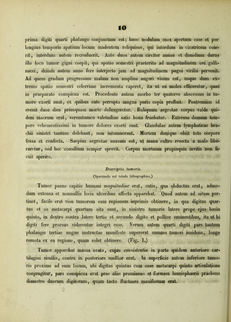 prima digiti quarti phalange conjunctum est; hunc nodulum mox apertum esse et per longius temporis spatium locum madentem reliquisse, qui interdum in cicatricem coie- rit, interdum autem recruduerit. Ante duos autem circiter annos et dimidium durus illo loco tumor gigni coepit, qui spatio semestri praeterito ad magnitudinem ovi galli- nacei, deinde autem anno fere interjecto jam ad magnitudinem pugni virilis pervenit. Ad quem gradum progressum malum non amplius augeri visum est, usque dum ex- tremo spatio semestri celerrime incrementa caperet, ita ut ea moles efficeretur, quae in praeparato conspicua est. Procedente autem morbo ter quaterve abscessus in tu- more exorti sunt, ex quibus cute perrupta magna puris copia profluit. Postremum id evenit duos dies priusquam morte defungeretur. Reliquum aegrotae corpus valde qui- dem macrum erat, verumtamen valetudine satis bona fruebatur. Extremo demum tem- pore vebementissimi in tumore dolores exorti sunt. Glandulae autem lymphaticae bra- chii sinistri tantum dolebant, non intumuerant. Mortem denique obiit toto corpore fessa et confecta. Saepius aegrotae suasum est, ut manu cultro resecta a malo libe- raretur, sed hoc consilium sempcr sprevit. Corpus mortuum propinquis invitis non li- cuit aperire. Descriptio tumoris. (Spectanda est tabula lithographica.) Tumor paene capitis humani magnitudine erat, cutis, qua obductus erat, admo- dum extensa et nonnullis locis ulceribus affecta apparebat. Quod autem ad situm per- tinet, facile erat visu tumorem eam regionem inprimis obtinere, in qua digitus quar- tus et os metacarpi quartum sita sunt, in sinistro tumoris latere prope ejus basin quinto, in dextro contra latere tertio et secundo digito et pollice eminentibus, ita ut hi digiti fere prorsus viderentur integri esse. Verum autem quarti digiti pars tantum phalangis tertiae ungue instructae manifeste supererat summo tumori insidens, longe remota ex ea regione, quam solet obtinere. (Fig. 1.) Tumor apparebat massa ovata, cujus consistentia in parte quidem anteriore car- tilagini similis, contra in posteriore mollior erat. In superficie autem inferiore tumo- ris proxime ad eum locum, ubi digitus quintus cum osse metacarpi quinto articulatione conjungitur, pars conspicua erat prae aliis prominens et formam hemisphaerii praebens diametro duorum digitorum, quam tactu fluctuare manifestum erat.
