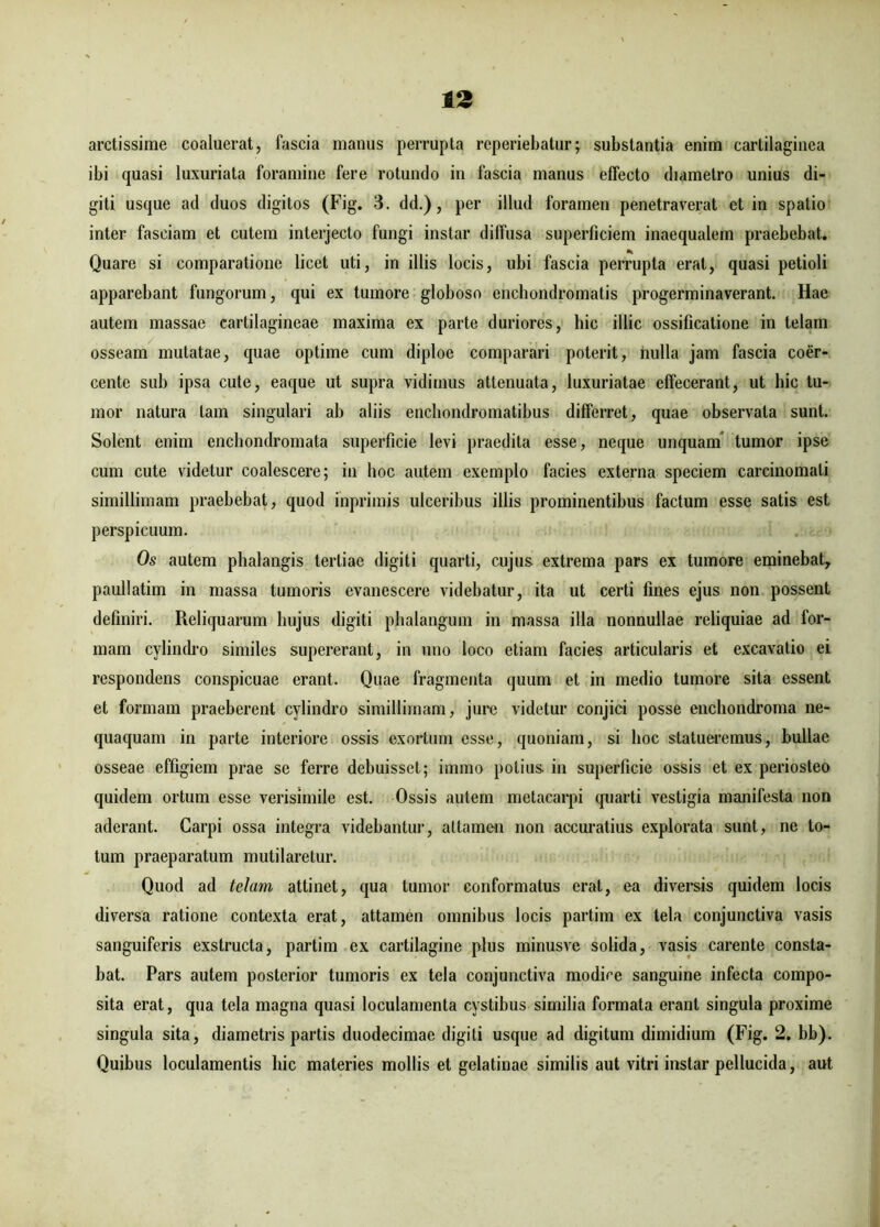 arctissime coaluerat, fascia manus perrupta reperiebatur; substantia enim cartilaginea ibi quasi luxuriata foramine fere rotundo in fascia manus effecto diametro unius di- giti usque ad duos digitos (Fig. 3. dd.), per illud foramen penetraverat et in spatio inter fasciam et cutem interjecto fungi instar diffusa superficiem inaequalem praebebat. Quare si comparatione licet uti, in illis locis, ubi fascia perrupta erat, quasi petioli apparebant fungorum, qui ex tumore globoso enchondromatis progerminaverant. Hae autem massae cartilagineae maxima ex parte duriores, hic illic ossificatione in telam osseam mutatae, quae optime cum diploe comparari poterit, nulla jam fascia coer- cente sub ipsa cute, eaque ut supra vidimus attenuata, luxuriatae effecerant, ut hic tu- mor natura tam singulari ab aliis enchondromatibus differret, quae observata sunt. Solent enim enchondromata superficie levi praedita esse, neque unquam tumor ipse cum cute videtur coalescere; in hoc autem exemplo facies externa speciem carcinomati simillimam praebebat, quod inprimis ulceribus illis prominentibus factum esse satis est perspicuum. Os autem phalangis tertiae digiti quarti, cujus extrema pars ex tumore eminebat, paullatim in massa tumoris evanescere videbatur, ita ut certi fines ejus non possent definiri. Reliquarum hujus digiti phalangum in massa illa nonnullae reliquiae ad for- mam cylindro similes supererant, in uno loco etiam facies articularis et excavatio ei respondens conspicuae erant. Quae fragmenta quum et in medio tumore sita essent et formam praeberent cylindro simillimam, jure videtur conjici posse enchondroma ne- quaquam in parte interiore ossis exortum esse, quoniam, si hoc statueremus, bullae osseae effigiem prae se ferre debuisset; immo potius in superficie ossis et ex periosteo quidem ortum esse verisimile est. Ossis autem metacarpi quarti vestigia manifesta non aderant. Carpi ossa integra videbantur, allamen non accuratius explorata sunt, ne to- tum praeparatum mutilaretur. Quod ad telam attinet, qua tumor conformatus erat, ea diversis quidem locis diversa ratione contexta erat, attamen omnibus locis partim ex tela conjunctiva vasis sanguiferis exstructa, partim ex cartilagine plus minusve solida, vasis carente consta- bat. Pars autem posterior tumoris ex tela conjunctiva modice sanguine infecta compo- sita erat, qua tela magna quasi loculamenta cystibus similia formata erant singula proxime singula sita, diametris partis duodecimae digiti usque ad digitum dimidium (Fig. 2. bb). Quibus loculamentis hic materies mollis et gelatinae similis aut vitri instar pellucida, aut