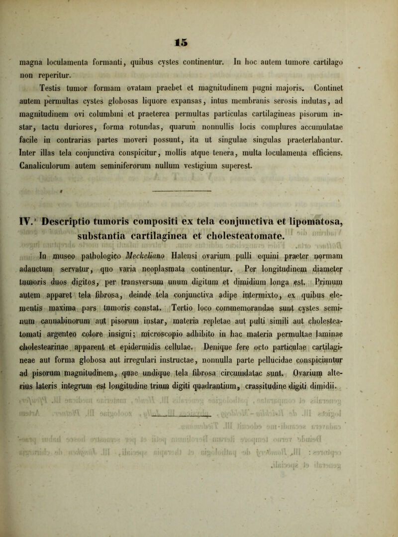 magna loculamenta formanti, quibus cystes continentur. In hoc autem tumore cartilago non reperilur. Testis tumor formam ovatam praebet et magnitudinem pugni majoris. Continet autem permultas cystes globosas liquore expansas, intus membranis serosis indutas, ad magnitudinem ovi columbini et praeterea permultas particulas cartilagineas pisorum in- star, tactu duriores, forma rotundas, quarum nonnullis locis complures accumulatae facile in contrarias partes moveri possunt, ita ut singulae singulas praeterlabantur. Inter illas tela conjunctiva conspicitur, mollis atque tenera, multa loculamenta efficiens. Canaliculorum autem seminiferorum nullum vestigium superest. IV.’ Descriptio tumoris compositi ex tela conjunctiva et lipomatosa, substantia cartilaginea et cholesteatomate. •Wgirl mifi '!)?■>!I .r,h<> twVUtQ. In museo pathologico Mecheliano Halensi ovarium pulli equini praeter normam adauctum servatur, quo varia neoplasmata continentur. Per longitudinem diameter tumoris duos digitos, per transversum unum digitum et dimidium longa ^t. Primum autem apparet tela fibrosa, deinde tela conjunctiva adipe intermixto, ex quibus ele- mentis maxima pars tumoris constat. Tertio loco commemorandae sunt cystes semi- num cannabinorum aut pisorum instar, materia repletae aut pulli simili aut cholestea- tomati argenteo colore insigni; microscopio adhibito in hac materia permultae laminae cholestearinae apparent et epidermidis cellulae. Denique fere octo particulae cartilagi- neae aut forma globosa aut irregulari instructae, nonnulla parte pellucidae conspiciuntur ad pisorum magnitudinem, quae undique tela fibrosa circumdatae sunt. Ovarium alte- rius lateris integrum est longitudine trium digiti quadrantium, crassitudine digiti dimidii. .IU. Jfctaob» - • 111 • ibnooe ii'j(j :511:i 1 iiiici iJi ioqui‘)l oiitjy XiBuiofl «golodiaq >h : eoio&pa