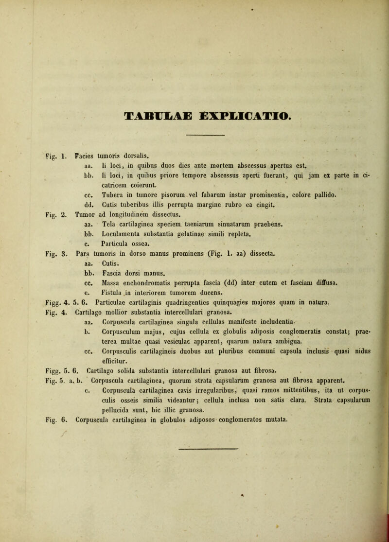 TABULAE EXPLICATIO Fig. 1. Fig. 2. Fig. 3 Figg- Fig. 4. Figg. 5 Fig. 5. Fig. 6 Facies tumoris dorsalis. aa. Ii loci, in quibus duos dies ante mortem abscessus apertus est. bb. Ii loci, in quibus priore tempore abscessus aperti fuerant, qui jam ex parte in ci- catricem coierunt. cc. Tubera in tumore pisorum vel fabarum instar prominentia, colore pallido, dd. Cutis tuberibus illis perrupta margine rubro ea cingit. Tumor ad longitudinem dissectus. aa. Tela cartilaginea speciem taeniarum sinuatarum praebens, bb. Loculamenta substantia gelatinae simili repleta, c. Particula ossea. Pars tumoris in dorso manus prominens (Fig. 1. aa) dissecta, aa. Cutis. bb. Fascia dorsi manus. cc. Massa enchondromatis perrupta fascia (dd) inter cutem et fasciam diffusa, e. Fistula in interiorem tumorem ducens. :. 5. 6. Particulae cartilaginis quadringenties quinquagies majores quam in natura. Cartilago mollior substantia intercellulari granosa. aa. Corpuscula cartilaginea singula cellulas manifeste includentia- b. Corpusculum majus, cujus cellula ex globulis adiposis conglomeratis constat; prae- terea multae quasi vesiculae apparent, quarum natura ambigua. cc. Corpusculis cartilagineis duobus aut pluribus communi capsula inclusis quasi nidus efficitur. . 6. Cartilago solida substantia intercellulari granosa aut fibrosa. a. b. Corpuscula cartilaginea, quorum strata capsularum granosa aut fibrosa apparent. c. Corpuscula cartilaginea cavis irregularibus, quasi ramos mittentibus, ita ut corpus- culis osseis similia videantur; cellula inclusa non satis clara. Strata capsularum pellucida sunt, hic illic granosa. Corpuscula cartilaginea in globulos adiposos conglomeratos mutata.