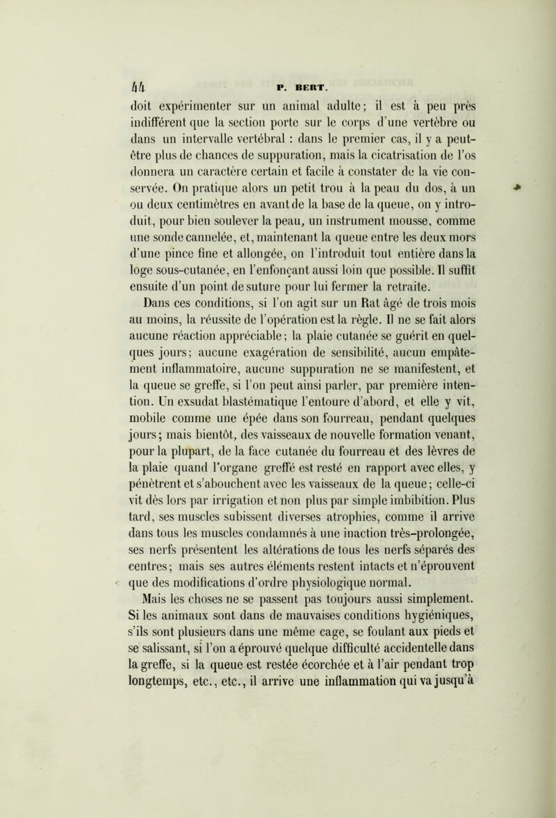 doit expérimenter sur un animal adulte; il est à peu près indifférent que la section porte sur le corps d’une vertèbre ou dans un intervalle vertébral : dans le premier cas, il y a peut- être plus de chances de suppuration, mais la cicatrisation de l’os donnera un caractère certain et facile à constater de la vie con- servée. On pratique alors un petit trou à la peau du dos, à un ou deux centimètres en avant de la base de la queue, on y intro- duit, pour bien soulever la peau, un instrument mousse, comme une sonde cannelée, et, maintenant la queue entre les deux mors d’une pince fine et allongée, on l’introduit tout entière dans la loge sous-cutanée, en l’enfonçant aussi loin que possible. Il suffit ensuite d’un point de suture pour lui fermer la retraite. Dans ces conditions, si l’on agit sur un Rat âgé de trois mois au moins, la réussite de l’opération est la règle. Il ne se fait alors aucune réaction appréciable ; la plaie cutanée se guérit en quel- ques jours; aucune exagération de sensibilité, aucun empâte- ment inflammatoire, aucune suppuration ne se manifestent, et la queue se greffe, si l’on peut ainsi parler, par première inten- tion. Un exsudât blastématique l’entoure d’abord, et elle y vit, mobile comme une épée dans son fourreau, pendant quelques jours; mais bientôt, des vaisseaux de nouvelle formation venant, pour la plupart, de la face cutanée du fourreau et des lèvres de la plaie quand l’organe greffé est resté en rapport avec elles, y pénètrent et s’abouchent avec les vaisseaux de la queue ; celle-ci vit dès lors par irrigation et non plus par simple imbibition. Plus tard, ses muscles subissent diverses atrophies, comme il arrive dans tous les muscles condamnés à une inaction très-prolongée, ses nerfs présentent les altérations de tous les nerfs séparés des centres; mais ses autres éléments restent intacts et n’éprouvent que des modifications d’ordre physiologique normal. Mais les choses ne se passent pas toujours aussi simplement. Si les animaux sont dans de mauvaises conditions hygiéniques, s’ils sont plusieurs dans une même cage, se foulant aux pieds et se salissant, si l’on a éprouvé quelque difficulté accidentelle dans la greffe, si la queue est restée écorchée et à l’air pendant trop longtemps, etc., etc., il arrive une inflammation qui va jusqu’à