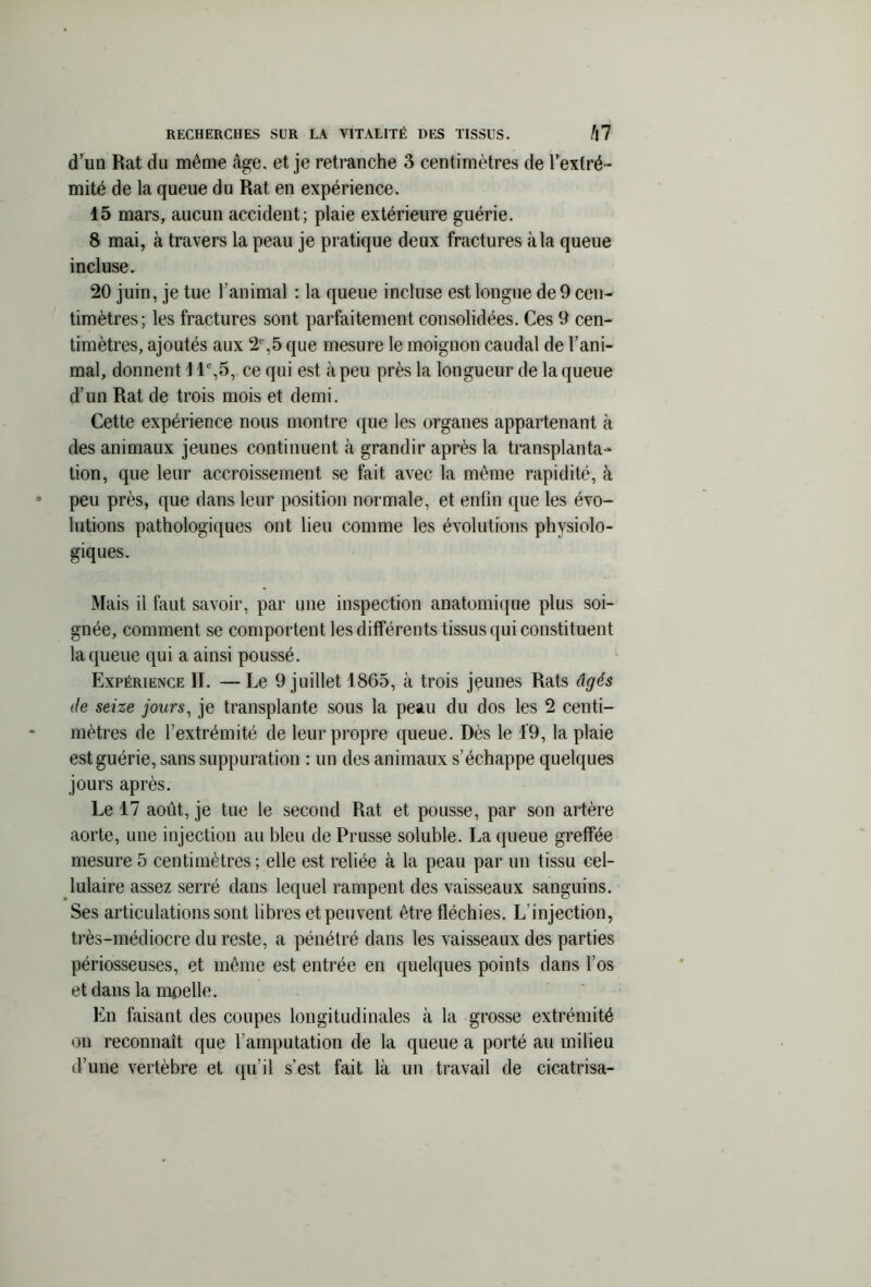 d’un Rat du même âge, et je retranche 3 centimètres de l’extré- mité de la queue du Rat en expérience. 15 mars, aucun accident; plaie extérieure guérie. 8 mai, à travers la peau je pratique deux fractures à la queue incluse. 20 juin, je tue l’animal ; la queue incluse est longue de 9 cen- timètres; les fractures sont parfaitement consolidées. Ces 9 cen- timètres, ajoutés aux 2°,5 que mesure le moignon caudal de l’ani- mal, donnent 1 Ie,5, ce qui est à peu près la longueur de la queue d’un Rat de trois mois et demi. Cette expérience nous montre que les organes appartenant à des animaux jeunes continuent à grandir après la transplanta- tion, que leur accroissement se fait avec la même rapidité, à peu près, que dans leur position normale, et enfin que les évo- lutions pathologiques ont lieu comme les évolutions physiolo- giques. Mais il faut savoir, par une inspection anatomique plus soi- gnée, comment se comportent les différents tissus qui constituent laqueue qui a ainsi poussé. Expérience II. — Le 9 juillet 1865, à trois jeunes Rats âgés de seize jours, je transplante sous la peau du dos les 2 centi- mètres de l’extrémité de leur propre queue. Dès le 19, la plaie est guérie, sans suppuration : un des animaux s’échappe quelques jours après. Le 17 août, je tue le second Rat et pousse, par son artère aorte, une injection au bleu de Prusse soluble. La queue greffée mesure 5 centimètres ; elle est reliée à la peau par un tissu cel- lulaire assez serré dans lequel rampent des vaisseaux sanguins. Ses articulations sont libres et peuvent être fléchies. L’injection, très-médiocre du reste, a pénétré dans les vaisseaux des parties périosseuses, et même est entrée eu quelques points dans l’os et dans la moelle. En faisant des coupes longitudinales à la grosse extrémité on reconnaît que l’amputation de la queue a porté au milieu d’une vertèbre et qu’il s’est fait là un travail de cicatrisa-