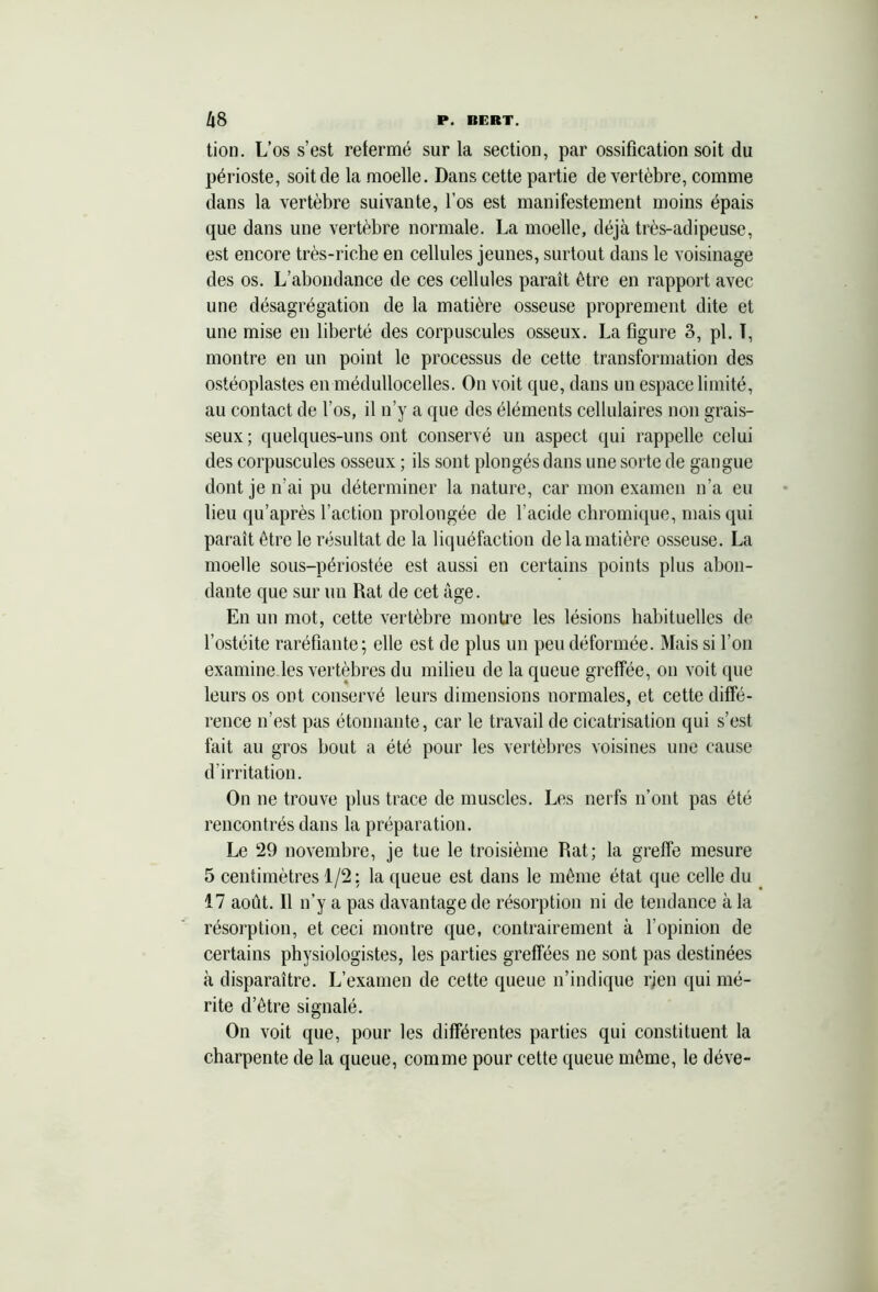 tion. L’os s’est retermé sur la section, par ossification soit du périoste, soit de la moelle. Dans cette partie de vertèbre, comme dans la vertèbre suivante, l’os est manifestement moins épais que dans une vertèbre normale. La moelle, déjà très-adipeuse, est encore très-riche en cellules jeunes, surtout dans le voisinage des os. L’abondance de ces cellules paraît être en rapport avec une désagrégation de la matière osseuse proprement dite et une mise en liberté des corpuscules osseux. La figure 3, pi. T, montre en un point le processus de cette transformation des ostéoplastes en médullocelles. On voit que, dans un espace limité, au contact de l’os, il n’y a que des éléments cellulaires non grais- seux ; quelques-uns ont conservé un aspect qui rappelle celui des corpuscules osseux ; ils sont plongés dans une sorte de gangue dont je n’ai pu déterminer la nature, car mon examen n’a eu lieu qu’après l’action prolongée de l’acide chromique, mais qui paraît être le résultat de la liquéfaction de la matière osseuse. La moelle sous-périostée est aussi en certains points plus abon- dante que sur un Rat de cet âge. En un mot, cette vertèbre montre les lésions habituelles de l’ostéite raréfiante; elle est de plus un peu déformée. Mais si l’on examine les vertèbres du milieu de la queue greffée, on voit que leurs os ont conservé leurs dimensions normales, et cette diffé- rence n’est pas étonnante, car le travail de cicatrisation qui s’est fait au gros bout a été pour les vertèbres voisines une cause d’irritation. On ne trouve plus trace de muscles. Les nerfs n’ont pas été rencontrés dans la préparation. Le 29 novembre, je tue le troisième Rat; la greffe mesure 5 centimètres 1/2: la queue est dans le même état que celle du 17 août. Il n’y a pas davantage de résorption ni de tendance à la résorption, et ceci montre que, contrairement à l’opinion de certains physiologistes, les parties greffées ne sont pas destinées à disparaître. L’examen de cette queue n’indique rjen qui mé- rite d’être signalé. On voit que, pour les différentes parties qui constituent la charpente de la queue, comme pour cette queue même, le déve-