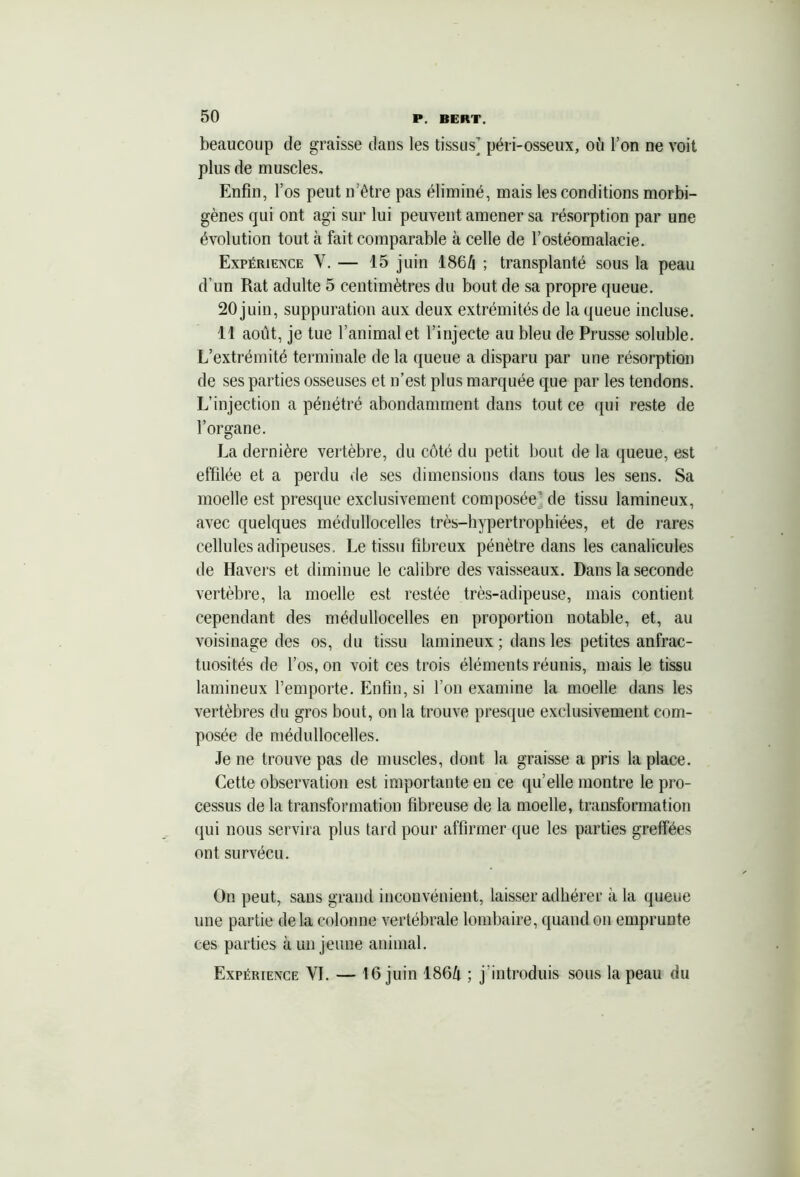 beaucoup de graisse dans les tissus’ péri-osseux, où l’on ne voit plus de muscles. Enfin, l’os peut n’être pas éliminé, mais les conditions morbi- gènes qui ont agi sur lui peuvent amener sa résorption par une évolution tout à fait comparable à celle de l’ostéomalacie. Expérience Y. — 15 juin 186/j ; transplanté sous la peau d’un Rat adulte 5 centimètres du bout de sa propre queue. 20 juin, suppuration aux deux extrémités de la queue incluse. 11 août, je tue l’animal et l’injecte au bleu de Prusse soluble. L’extrémité terminale de la queue a disparu par une résorption de ses parties osseuses et n’est plus marquée que par les tendons. L’injection a pénétré abondamment dans tout ce qui reste de l’organe. La dernière vertèbre, du côté du petit bout de la queue, est effilée et a perdu de ses dimensions dans tous les sens. Sa moelle est presque exclusivement composée de tissu lamineux, avec quelques médullocelles très-hypertrophiées, et de rares cellules adipeuses. Le tissu fibreux pénètre dans les canalicules de Havers et diminue le calibre des vaisseaux. Dans la seconde vertèbre, la moelle est restée très-adipeuse, mais contient cependant des médullocelles en proportion notable, et, au voisinage des os, du tissu lamineux ; dans les petites anfrac- tuosités de l’os, on voit ces trois éléments réunis, mais le tissu lamineux l’emporte. Enfin, si l’on examine la moelle dans les vertèbres du gros bout, on la trouve presque exclusivement com- posée de médullocelles. Je ne trouve pas de muscles, dont la graisse a pris la place. Cette observation est importante eu ce qu’elle montre le pro- cessus de la transformation fibreuse de la moelle, transformation qui nous servira plus tard pour affirmer que les parties greffées ont survécu. On peut, sans grand inconvénient, laisser adhérer à la queue une partie delà colonne vertébrale lombaire, quand on emprunte ces parties à un jeune animal. Expérience VI. — 16 juin 186ù ; j'introduis sous la peau du