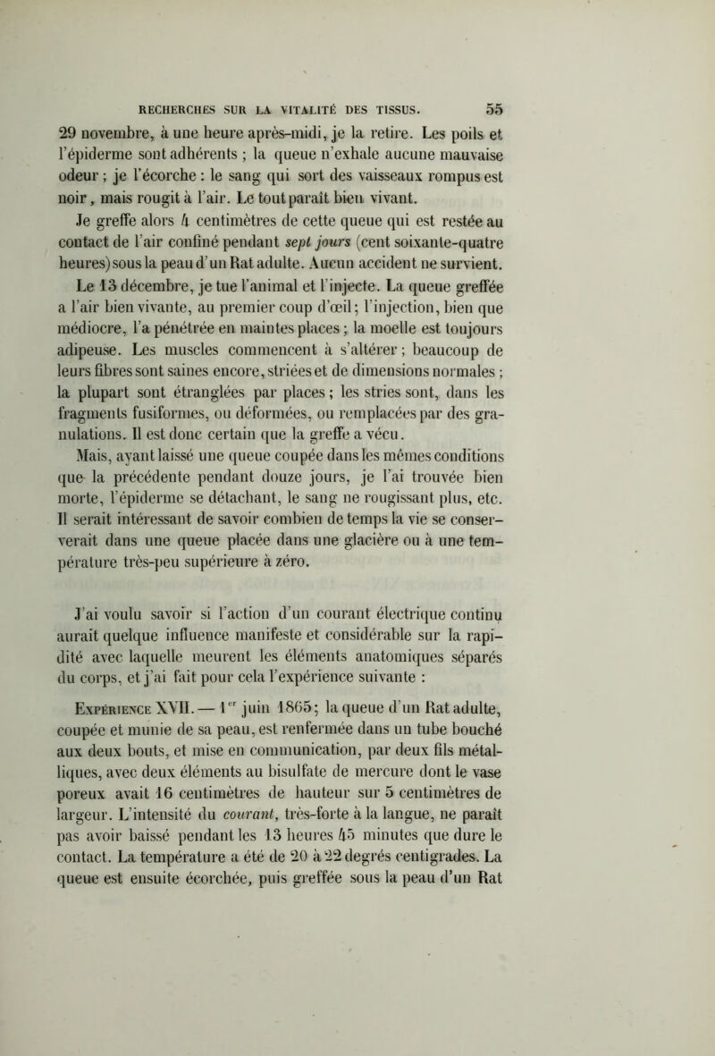29 novembre, à une heure après-midi, je la retire. Les poils et l’épiderme sont adhérents ; la queue n’exhale aucune mauvaise odeur ; je l’écorche : le sang qui sort des vaisseaux rompus est noir, mais rougit à l’air. Le tout paraît bien, vivant. Je greffe alors h centimètres de cette queue qui est restée au contact de l’air confiné pendant sept jours (cent soixante-quatre heures)sousla peau d’un Rat adulte. Aucun accident ne survient. Le 13 décembre, je tue l’animal et l’injecte. La queue greffée a l’air bien vivante, au premier coup d’œil ; l’injection, bien que médiocre, l’a pénétrée en maintes places ; la moelle est toujours adipeuse. Les muscles commencent à s’altérer; beaucoup de leurs fibres sont saines encore, striées et de dimensions normales ; la plupart sont étranglées par places ; les stries sont, dans les fragments fusiformes, ou déformées, ou remplacées par des gra- nulations. Il est donc certain que la greffe a vécu. Mais, ayant laissé une queue coupée dans les mêmes conditions que la précédente pendant douze jours, je l’ai trouvée bien morte, l’épiderme se détachant, le sang ne rougissant plus, etc. Il serait intéressant de savoir combien de temps la vie se conser- verait dans une queue placée dans une glacière ou à une tem- pérature très-peu supérieure à zéro. J’ai voulu savoir si l’action d’un courant électrique continu aurait quelque influence manifeste et considérable sur la rapi- dité avec laquelle meurent les éléments anatomiques séparés du corps, et j’ai fait pour cela l’expérience suivante : Expérience XVII.— 1er juin 1865; la queue d’un Rat adulte, coupée et munie de sa peau, est renfermée dans un tube bouché aux deux bouts, et mise en communication, par deux fils métal- liques, avec deux éléments au bisulfate de mercure dont le vase poreux avait 16 centimètres de hauteur sur 5 centimètres de largeur. L’intensité du courant, très-forte à la langue, ne parait pas avoir baissé pendant les 13 heures 45 minutes que dure le contact. La température a été de 20 à 22 degrés centigrades. La queue est ensuite écorchée, puis greffée sous la peau d’un Rat