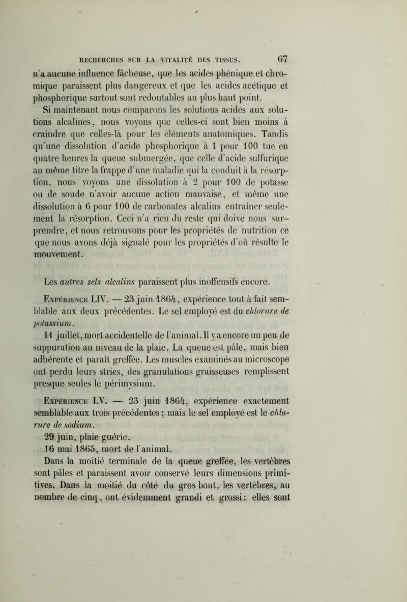 11’a aucune influence fâcheuse, que les acides phénique et chro- mique paraissent plus dangereux et que les acides acétique et phosphorique surtout sont redoutables au plus haut point. Si maintenant nous comparons les solutions acides aux solu- tions alcalines, nous voyons que celles-ci sont bien moins à craindre que celles-là pour les éléments anatomiques. Tandis qu’une dissolution d’acide phosphorique à 1 pour 100 tue en quatre heures la queue submergée, que celle d’acide sulfurique au même titre la frappe d’une maladie qui la conduit à la résorp- tion, nous voyons une dissolution à 2 pour 100 de potasse ou de soude n’avoir aucune action mauvaise, et même une dissolution à 6 pour 100 de carbonates alcalins entraîner seule- ment la résorption. Ceci n’a rien du reste qui doive nous sur- prendre, et nous retrouvons pour les propriétés de nutrition ce que nous avons déjà signalé pour les propriétés d’oii résulte le mouvement. Les autres sels alcalins paraissent plus inoffensifs encore. Expérience LIY. — 23 juin 1864, expérience tout à fait sem- blable aux deux précédentes. Le sel employé est du chlorure de ;potassium. il juillet, mort accidentelle de ranimai. 11 y a encore un peu de suppuration au niveau de la plaie. La queue est pâle, mais bien adhérente et paraît greffée. Les muscles examinés au microscope ont perdu leurs stries, des granulations graisseuses remplissent presque seules le périmysium. Expérience LV. — 23 juin 186à, expérience exactement semblable aux trois précédentes ; mais le sel employé est le chlo- rure de sodium. 29 juin, plaie guérie. 16 mai 1865, mort de l’animal. Dans la moitié terminale de la queue greffée, les vertèbres sont pâles et paraissent avoir conservé leurs dimensions primi- tives. Dans la moitié du côté du gros bout, les vertèbres, au nombre de cinq, ont évidemment grandi et grossi : elles sont