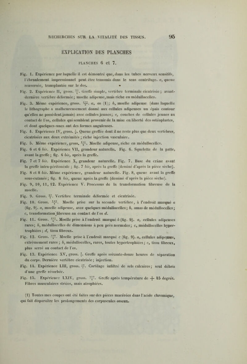 EXPLICATION DES PLANCHES PLANCHES 6 et 7. Fig. 1. Expérience par laquelle il est démontre que, dans les tabes nerveux sensitifs, l’ébranlement impressionne! peut être transmis dans le sens centrifuge, a, queue renversée, transplantée sur le dos. • Fig-. 2. Expérience II, gross. Greffe simple, vertèbre terminale cicatrisée ; avant- dernière vertèbre déformée; moelle adipeuse, mais riche en médullocelles. Fig. 3. Même expérience, gross. ‘A4. a, os (1); b, moelle adipeuse (dans laquelle le lithographe a malheureusement donné aux cellules adipeuses un épais contour qu’elles ne possèdent jamais) avec cellules jeunes; c, couches de cellules jeunes au contact de l’os, cellules qui semblent provenir de la mise en liberté des ostéoplastes, et dont quelques-unes ont des formes anguleuses. Fig. U. Expérience IV, gross. 4. Queue greffée dont il ne reste plus que deux vertèbres, cicatrisées aux deux extrémités ; riche injection vasculaire. Fig. 5. Même expérience, gross. Vp-. Moelle adipeuse, riche en médullocelles. Fig. 6 et 6 bis. Expérience VII, grandeur naturelle. Fig. 6. Squelette de la patte, avant la greffe ; fig. 6 bis, après la greffe. Fig. 7 et 7 bis. Expérience X, grandeur naturelle. Fig. 7. Base du crâne avant la greffe intra-péritonéale ; fig. 7 bis, après la greffe (dessiné d’après la pièce sèche). Fig. 8 et 8 bis. Même expérience, grandeur naturelle. Fig. 8, queue avant la greffe sous-cutanée; fig. 8 bis, queue après la greffe (dessiné d’après la pièce sèche). F’ig. 9, 10, 11, 12. Expérience V. Processus de la transformation fibreuse de la moelle. Fig. 9. Gross. *£. Vertèbre terminale déformée et cicatrisée. Fig. 10. Gross. ifs, Moelle prise sur la seconde vertèbre, à l’endroit marqué a (fig. 9). a, moelle adipeuse, avec quelques médullocelles; b. amas de médullocelles; c, transformation fibreuse au contact de l’os d. Fig. 11. Gross. i *Aî.. Moelle prise à l’endroit marqué b (fig. 9). a, cellules adipeuses rares; b, médullocelles de dimensions à peu près normales; c, médullocelles hyper- trophiées ; d, tissu fibreux. Fig. 12. Gross. -SA4. Moelle prise à l'endroit marqué c (fig. 9). a, cellules adipeuses, extrêmement rares ; b, médullocelles, rares, toutes hypertrophiées ; c, tissu fibreux, plus serré au contact de l’os. Fig. 13. Expérience XV, gross. f. Greffe après soixante-douze heures de séparation du corps. Dernière vertèbre cicatrisée; injection. Fig. 14. Expérience LI1I, gross. Carlilage infiltré de sels calcaires ; seul débris d’une greffe résorbée. Fig. 15. Expérience LXIV, gross. Greffe après température de -|- 45 degrés. Fibres musculaires striées, mais atrophiées. (1) Toutes mes coupes ont été faites sur des pièces macérées dans l’acide chromique, qui fait disparaître les prolongements des corpuscules osseux.