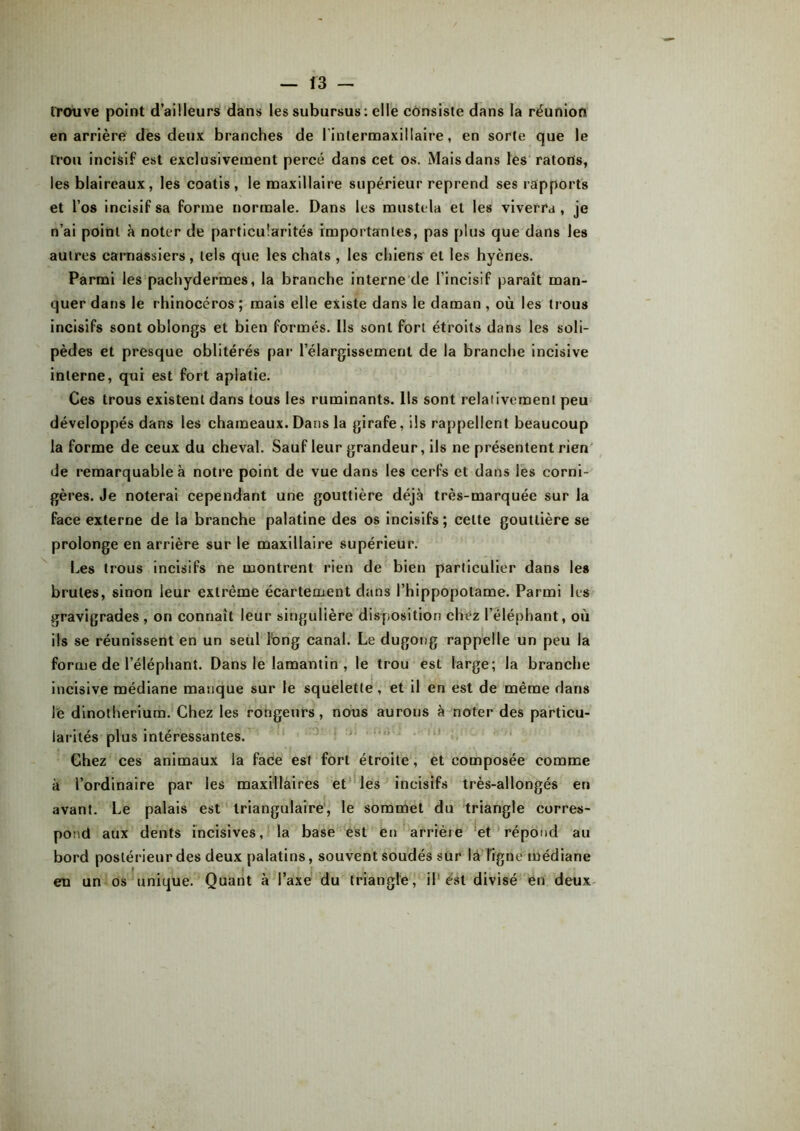 trouve point d’ailleurs dans les subursus : elle consiste dans la réunion en arrière des deux branches de l’intermaxillaire, en sorte que le trou incisif est exclusivement percé dans cet os. Mais dans les ratons, les blaireaux, les coatis, le maxillaire supérieur reprend ses rapports et l’os incisif sa forme normale. Dans les mustela et les viverra , je n’ai point à noter de particularités importantes, pas plus que dans les autres carnassiers, tels que les chats , les chiens et les hyènes. Parmi les pachydermes, la branche interne de l’incisif paraît man- quer dans le rhinocéros ; mais elle existe dans le daman , où les trous incisifs sont oblongs et bien formés. Us sont fort étroits dans les soli- pèdes et presque oblitérés par l’élargissement de la branche incisive interne, qui est fort aplatie. Ces trous existent dans tous les ruminants. Ils sont relativement peu développés dans les chameaux. Dans la girafe, ils rappellent beaucoup la forme de ceux du cheval. Sauf leur grandeur, ils ne présentent rien de remarquable à notre point de vue dans les cerfs et dans les corni- gères. Je noterai cependant une gouttière déjà très-marquée sur la face externe de la branche palatine des os incisifs; celte gouttière se prolonge en arrière sur le maxillaire supérieur. Les trous incisifs ne montrent rien de bien particulier dans les brutes, sinon leur extrême écartement dans l’hippopotame. Parmi les gravigrades , on connaît leur singulière disposition chez l’éléphant, où ils se réunissent en un seul long canal. Le dugong rappelle un peu la forme de l’éléphant. Dans le lamantin , le trou est large; la branche incisive médiane manque sur le squelette, et il en est de même dans le dinothérium. Chez les rongeurs, nous aurons à noter des particu- larités plus intéressantes. Chez ces animaux la face est fort étroite, et composée comme à l’ordinaire par les maxillaires et les incisifs très-allongés en avant. Le palais est triangulaire, le sommet du triangle corres- pond aux dents incisives, la base est en arrière et répond au bord postérieur des deux palatins, souvent soudés sur là figue médiane en un os unique. Quant à l’axe du triangle, il'est divisé en deux