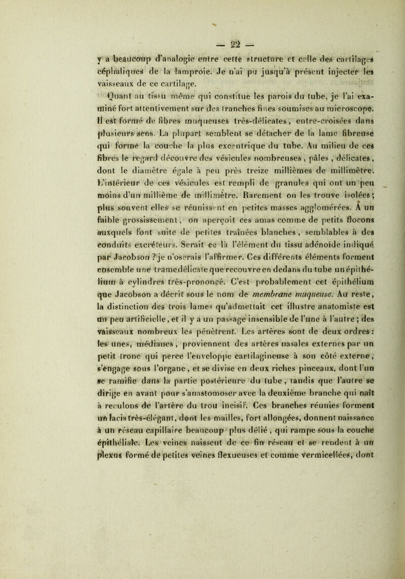 y a beaucoup d’analogie entre cette structure et celle des car tilage* céphaliques de la lamproie. Je n’ai pu jusqu’à présent injecter les vaisseaux de ce cartilage. Quant au tissu même qui constitue les parois du tube, je l’ai exa- miné fort attentivement sur des tranches fines soumises au microscope. Il est formé de fibres muqueuses très-délicates, entre-croisées dans plusieurs sens. La plupart semblent se détacher de la lame fibreuse qui forme la couche la plus excentrique du tube. Au milieu de ces fibres le regard découvre des vésicules nombreuses , pâles , délicates, dont le diamètre égale à peu près treize millièmes de millimètre. L’inférieur de ces vésicules est rempli de granules qui ont un peu moins d’un millième de millimètre. Rarement on les trouve isolées; plus souvent elles se réunissent en petites masses agglomérées. À un faible grossissement, on aperçoit ces amas comme de petits flocons auxquels font suite de petites traînées blanches, semblables à des conduits excréteurs. Serait ce là l’élément du tissu adénoïde indiqué par Jaeobsor» ? je n’oserais l’affirmer. Ces différents éléments forment ensemble une tramedélicaîe que recouvre en dedans du tube un épithé- lium à cylindres très-prononcé. C’est probablement cet épithélium que Jaeobson a décrit sous le nom de membrane muqueuse. Au reste, la distinction des trois lames qu’admettait cet illustre anatomiste est an peu artificielle, et il y a un passage insensible de l’une à l’autre ; des vaisseaux nombreux les pénètrent. Les artères sont de deux ordres: les unes, médianes , proviennent des artères nasales externes par un petit tronc qui perce l’enveloppe cartilagineuse à son côté externe, s’engage sous l’organe, et se divise en deux riches pinceaux, dont l’un se ramifie dans la partie postérieure du tube, tandis que l’autre se dirige en avant pour s’anastomoser avec la deuxième branche qui naît à reculons de l’artère du trou incisif. Ces branches réunies forment un lacis très-élégant, dont les mailles, fort allongées, donnent naissance à un réseau capillaire beaucoup plus délié , qui rampe sous la couche épithéliale. Les veines naissent de ce fin réseau et se rendent à un plexus formé de petites veines flexueuscs et comme vermicellées, dont