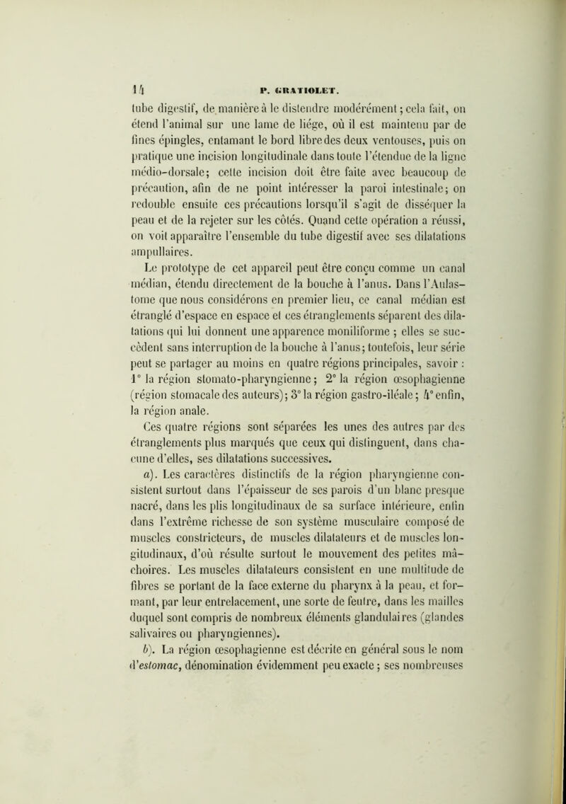 P. (iltVI'IOLET. U tube digestif, de, manière à le distendre modérément ; cela fait, on étend l’animal sur une lame de liège, où il est maintenu par de fines épingles, entamant le bord libre des deux ventouses, puis on pratique une incision longitudinale dans toute l’étendue de la ligne médio-dorsale; cette incision doit être faite avec beaucoup de précaution, afin de ne point intéresser la paroi intestinale; on redouble ensuite ces précautions lorsqu’il s’agit de disséquer la peau et de la rejeter sur les côtés. Quand cette opération a réussi, on voit apparaître l’ensemble du tube digestif avec ses dilatations ampullaires. Le prototype de cet appareil peut être conçu comme un canal médian, étendu directement de la bouche à l’anus. Dansl’Aulas- tome que nous considérons en premier lieu, ce canal médian est étranglé d’espace en espace et ces étranglements séparent des dila- tations qui lui donnent une apparence moniliforme ; elles se suc- cèdent sans interruption de la bouche à l’anus; toutefois, leur série peut se partager au moins en quatre régions principales, savoir : 1° la région stomato-pharyngienne ; 2° la région œsophagienne (région stomacaledes auteurs); 3°la région gastro-iléale; k°enfin, la région anale. Ces quatre régions sont séparées les unes des autres par des étranglements plus marqués que ceux qui distinguent, dans cha- cune d’elles, ses dilatations successives. a) . Les caractères distinctifs de la région pharyngienne con- sistent surtout dans l’épaisseur de ses parois d’un blanc presque nacré, dans les plis longitudinaux de sa surface intérieure, enfin dans l’extrême richesse de son système musculaire composé de muscles constricteurs, de muscles dilatateurs et de muscles lon - gitudinaux, d’où résulte surtout le mouvement des petites mâ- choires. Les muscles dilatateurs consistent en une multitude de fibres se portant de la face externe du pharynx à la peau, et for- mant, par leur entrelacement, une sorte de feutre, dans les mailles duquel sont compris de nombreux éléments glandulaires (glandes salivaires ou pharyngiennes). b) . La région œsophagienne est décrite en général sous le nom d'estomac, dénomination évidemment peu exacte; ses nombreuses