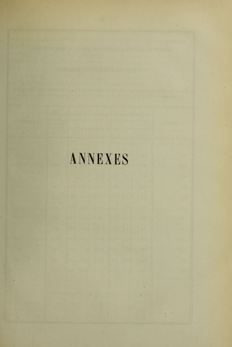 ANNEXES