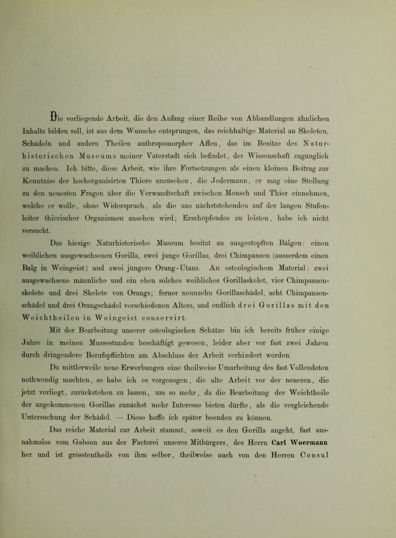 Die vorliegende Arbeit, die den Anfang einer Reihe von Abhandlungen ähnlichen Inhalts bilden soll, ist aus dem Wunsche entsprungen, das reichhaltige Material an Skeleten, Schädeln und andern Theilen anthropomorpher Affen, das im Besitze des Natur- historischen Museums meiner Vaterstadt sich befindet, der Wissenschaft zugänglich zu machen. Ich bitte, diese Arbeit, wie ihre Fortsetzungen als einen kleinen Beitrag zur Kenntniss der hochorganisirten Thiere anzusehen, die Jedermann, er mag eine Stellung zu den neuesten Fragen über die Verwandtschaft zwischen Mensch und Thier einnehmen, welche er wolle, ohne AViderspruch, als die uns nächststehenden auf der langen Stufen- leiter thierischer Organismen ansehen wird; Erschöpfendes zu leisten, habe ich nicht versucht. Das hiesige Naturhistorische Museum besitzt au ausgestopften Bälgen: einen weiblichen ausgewachsenen Gorilla, zwei junge Gorillas, drei Chimpansen (ausserdem einen Balg in Weingeist) und zwei jüngere Orang-Utans. An osteologischem Material: zwei ausgewachsene männliche und ein eben solches weibliches Gorillaskelet, vier Chimpansen - skelete und drei Skelete von Orangs; ferner neunzehn Gorillaschädel, acht Chimpansen- schädel und drei Orangschädel verschiedenen Alters, und endlich drei Gorillas mit den Weichtheilen in AVeingeist conservirt. Mit der Bearbeitung unserer osteologischen Schätze bin ich bereits früher einige Jahre in meinen Mussestunden beschäftigt gewesen, leider aber vor fast zwei Jahren durch dringendere Berufspflichten am Abschluss der Arbeit verhindert worden. Da mittlerweile neue Erwerbungen eine theilweise Umarbeitung des fast Vollendeten nothwrendig machten, so habe ich es vorgezogen, die alte Arbeit vor der neueren, die jetzt vorliegt, zurückstehen zu lassen, um so mehr, da die Bearbeitung der Weichtheile der angekommenen Gorillas zunächst mehr Interesse bieten dürfte, als die vergleichende Untersuchung der Schädel. — Diese hoffe ich später beenden zu können. Das reiche Material zur Arbeit stammt, soweit es den Gorilla angeht, fast aus- nahmslos vom Gaboon aus der Factorei unseres Mitbürgers, des Herrn Carl Woermann her und ist grösstentlieils von ihm selber, theilweise auch von den Herren Consul