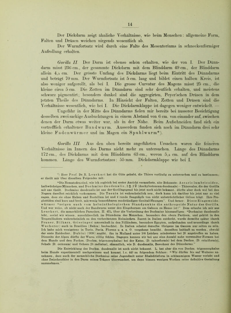 Der Dickdarm zeigt ähnliche Verhältnisse, wie beim Menschen: allgemeine Form, Falten und Drüsen weichen nirgends wesentlich ab. Der Wurmfortsatz wird durch eine Falte des Mesenteriums in schneckenförmiger Aufrollung erhalten. Gorilla II Der Darm ist ebenso schön erhalten, wie der von I. Der Dünn- darm misst 23(5 cm., der gesammte Dickdarm mit dem Blinddarm 49 cm., der Blinddarm allein 4,r. cm. Der grösste Umfang des Dickdarms liegt beim Eintritt des Dünndarms und beträgt 70 mm. Der Wurmfortsatz ist 5 cm. lang und bildet einen halben Kreis, ist also weniger aufgerollt, als bei I. Die grosse Curvatur des Magens misst 25 cm., die kleine circa 5 cm. Die Zotten im Dünndarm sind sehr deutlich erhalten, und meistens schwarz pigmentirt; besonders dunkel sind die aggregirten, Peyer sehen Drüsen in dem letzten Theile des Dünndarms. In Hinsicht der Falten, Zotten und Drüsen sind die Verhältnisse wesentlich, wie bei I. Die Dickdarmklappe ist dagegen weniger entwickelt. - Ungefähr in der Mitte des Dünndarms fielen mir bereits bei äusserer Besichtigung desselben zwei sackige Ausbuchtungen in einem Abstand von 6 cm. von einander auf, zwischen denen der Darm etwas weiter war, als in der Nähe. Beim Aufschneiden fand sich ein vortrefflich erhaltener Bandwurm. Ausserdem fanden sich noch im Dünndarm drei sehr kleine Fadenwürmer und im Magen ein Spuh 1 wurm*). Gorilla III Aus den oben bereits angeführten Ursachen waren die feineren Verhältnisse im Innern des Darms nicht mehr zu untersuchen. Länge des Dünndarms 172 cm., des Dickdarms mit dem Blinddarm 63 cm., wovon 5,5 cm. auf den Blinddarm kommen. Länge des Wurmfortsatzes: 55mm. Dickdarmklappe wie bei I. *) Herr Prof. Dr.R. Leuckart hat die Güte gehabt, die Thiere vorläufig zu untersuchen und zu bestimmen; er theilt mir über dieselben Folgendes mit: '•‘■Die Nematoden sind, wie ich sogleich bei erster Ansicht vermuthete, alte Bekannte: Ascaris lumbricoides, halbwüchsiges Männchen, und Dochmius duodenalis,2$,lS! (Anchylostomum duodenale) — Thiere also, die der Gorilla mit uns theilt. Dochmius duodenalis ist aus der Gorillagegend bis jetzt noch nicht bekannt. dürfte aber doch wol bei den Negern daselbst reichlich Vorkommen. Die Taenia ist wahrscheinlich neu. doch kann ich darüber bis jetzt nur so viel sagen, dass sie ohne Haken und Rostellum ist und 4 runde Saugnäpfe von nicht unbeträchtlicher Grösse trägt. Ihre Pro- glottiden sind kurz und breit, mit wenig bemerkbaren randständigeD Genitalöffnungen”. Und ferner Diese Eingeweide- würmer “zeigen auch vom h el m in t h o 1 o gis c h en Standpunkte die an th r o p oid e Nat u r d es Gor il 1 a. Und wer weiss, ob nicht auch der Bandwurm unter den Eingebornen am Gaboon zu Hause ist?” Dem erlaube ich mir aus Leuckart. die menschlichen Parasiten. II. 411, über die Verbreitung des Dochmius hinzuzufügen “Dochmius duodenalis lebt, soviel wir wissen, ausschliesslich im Dünndarm des Menschen, besonders den obern Partieen, und gehört in den Tropenländern wahrscheinlich zu den verbreitetsten Helminthen. Zuerst in Italien entdeckt, wurde derselbe später (durch Pruner, Bilharz, Griesinger) massenhaft in den Nilländern, besonders Egypten, aufgefunden und neuerdings durch Wucherer) auch in Brasilien (Bahia) beobachtet. In Italien scheint derselbe übrigens im Ganzen nur selten zu sein. Ich habe mich wenigstens in Turin. Pavia. Florenz u a a. 0. vergebens bemüht, desselben habhaft zu werden, obwohl der erste Entdecker, Dubini (1838) angibt, ihn in Mailand unter 100 Leichen mindestens bei 20 angetroffen zu haben. Diesseits der Alpen dürfte der Wurm völlig fehlen. Dagegen kennen wir bei uns eine Anzahl nahe verwandter Formen bei dem Hunde und dem Fuchse. (Dochm. trigonocephalus) bei der Katze. (D. tubaeformis) bei dem Dachse. (D criniformis), Schafe (D. cernuum) und Ochsen (D. radiatus), sämmtlich, wie D. duodenalis, Bewohner des Dünndarms.” Die Entwicklung des Dochm. duodenalis ist noch nicht bekannt. L. hat aber die von Dochm. trigonocephalus beim Hunde experimentell nachgewiesen und kommt, l.c. 443 zu folgendem Schluss: “Wir dürfen bis auf Weiteres an- nehmen , dass auch der menschliche Dochmius seine Jugendzeit unter Rhabditisform in schlammigem Wasser verlebt und ohne Zwischenthier in den Darm seines Trägers überwandert, um dann binnen wenigen Wochen seine definitive Gestaltung anzunehmen.