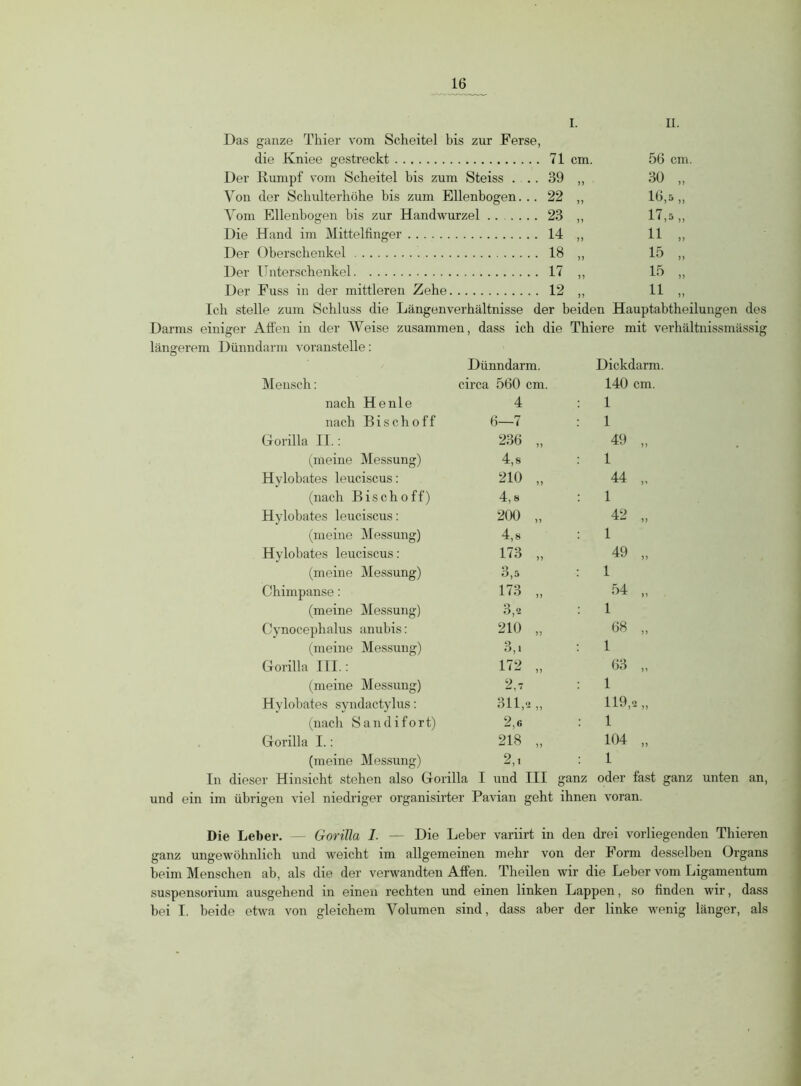 Das ganze Thier vom Scheitel bis zur Ferse, die Kniee gestreckt 71 cm. 56 cm. Der Rumpf vom Scheitel bis zum Steiss . .. 39 ,, 30 „ Von der Schulterhöhe bis zum Ellenbogen... 22 ,, 16,5,, Vom Ellenbogen bis zur Handwurzel 23 ,, 17,5 ,, Die Hand im Mittelfinger 14 ,, 11 ,, Der Oberschenkel 18 ,, 15 ,, Der Unterschenkel 17 ,, 15 ,, Der Fuss in der mittleren Zehe 12 ,, 11 ,, Der Oberschenkel 18 ,, 15 ,, Der Unterschenkel 17 ,, 15 ,, Der Fuss in der mittleren Zehe 12 ,, 11 ,, Ich stelle zum Schluss die Längenverhältnisse der beiden Hauptabtheilungen des Darms einiger Affen in der Weise zusammen, dass ich die Thiere mit verhältnissmässig längerem Dünndarm voranstelle: Dünndarm. Dickdarm. Mensch: circa 560 cm. 140 cm. nach He nie 4 : 1 nach Bisch off 6—7 : 1 Gorilla II.: 236 „ 49 „ (meine Messung) 4,8 : 1 Hylobates leuciscus: 210 „ 44 „ (nach Bisch off) 4,8 : 1 Hylobates leuciscus: 200 „ 42 -x.u ,, (meine Messung) 4,8 : 1 Hylobates leuciscus: 173 „ 49 „ (meine Messung) 3,5 : 1 Chimpanse: 173 „ 54 „ (meine Messung) 3,2 1 Cynocephalus anubis: 210 „ 68 „ (meine Messung) 3,! : 1 Gorilla III.: 172 „ 63 „ (meine Messung) 2,7 : 1 Hylobates syndactylus: 311,2 „ 119 -> (nach Sandifort) 2,6 : 1 Gorilla I.: 218 „ 104 „ (meine Messung) 2, i : 1 In dieser Hinsicht stehen also Gorilla I und III ganz oder fast ganz unten an, und ein im übrigen viel niedriger organisirter Pavian geht ihnen voran. Die Leber. — Gorilla 1. — Die Leber variirt in den drei vorliegenden Thieren ganz ungewöhnlich und weicht im allgemeinen mehr von der Form desselben Organs beim Menschen ab, als die der verwandten Affen. Theilen wir die Leber vom Ligamentum Suspensorium ausgehend in einen rechten und einen linken Lappen, so finden wir, dass bei I. beide etwa von gleichem Volumen sind, dass aber der linke wenig länger, als