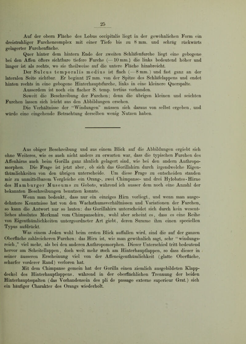 Auf der obern Fläche des Lobus occipitalis liegt in der gewöhnlichen Form ein dreistrahliger Furchencomplex mit einer Tiefe bis zu 8 mm. und schräg rückwärts gelagerter Furchenfläche. Quer hinter dem hintern Ende der zweiten Schläfenfurche liegt eine gebogene bei den Affen öfters sichtbare tiefere Furche (—10 mm.) die links bedeutend höher und länger ist als rechts, wo sie theilweise auf die untere Fläche hinabreicht. Der Sulcus temporalis medius ist flach (— 8mm.) und fast ganz an der lateralen Seite sichtbar. Er beginnt 27 mm. von der Spitze des Schläfelappens und endet hinten rechts in eine gebogene Hinterhauptsfurche, links in eine kleinere Querspalte. Ausserdem ist noch ein flacher S. temp. tertius vorhanden. Soweit die Beschreibung der Furchen; denn die übrigen kleinen und seichten Furchen lassen sich leicht aus den Abbildungen ersehen. Die Verhältnisse der “Windungen” müssen sich daraus von selbst ergeben, und würde eine eingehende Betrachtung derselben wenig Nutzen haben. Aus obiger Beschreibung und aus einem Blick auf die Abbildungen ergiebt sich ohne Weiteres, wie es auch nicht anders zu erwarten war, dass die typischen Furchen des Affenhirns auch beim Gorilla ganz ähnlich gelagert sind, wie bei den andern Anthropo- morphen. Die Frage ist jetzt aber, ob sich das Gorillahirn durch irgendwelche Eigen- thümlichkeiten von den übrigen unterscheide. Um diese Frage zu entscheiden standen mir zu unmittelbarem Vergleiche ein Orang-, zwei Chimpanse- und drei Hylobates - Hirne des Hamburger Museums zu Gebote, während ich ausser dem noch eine Anzahl der bekannten Beschreibungen benutzen konnte. Wenn man bedenkt, dass nur ein einziges Hirn vorliegt, und wenn man ausge- dehntere Kenntnisse hat von den Wachsthumsverhältnissen und Variationen der Furchen, so kann die Antwort nur so lauten: das Gorillahirn unterscheidet sich durch kein wesent- liches absolutes Merkmal vom Chimpansehirn, wohl aber scheint es, dass es eine Reihe von Eigentümlichkeiten untergeordneter Art giebt, deren Summe ihm einen speciellen Typus aufdrückt. AVas einem Jeden wohl beim ersten Blick auffallen wird, sind die auf der ganzen Oberfläche zahlreicheren Furchen: das Hirn ist, wie man gewöhnlich sagt, sehr “windungs- reich ,” viel mehr, als bei den anderen Anthropomorphen. Dieser Unterschied tritt bedeutend hervor am Scheitellappen, doch weit mehr noch am Hinterhauptlappen, so dass dieser in seiner äusseren Erscheinung viel von der Affeneigenthümlichkeit (glatte Oberfläche, scharfer vorderer Rand) verloren hat. Mit dem Chimpanse gemein hat der Gorilla einen ziemlich ausgebildeten Klapp- deckel des Hinterhauptlappens, während in der oberflächlichen Trennung der beiden Hinterhauptsspalten (das Vorhandensein des pli de passage externe superieur Grat.) sich ein häufiger Charakter des Orangs wiederholt.