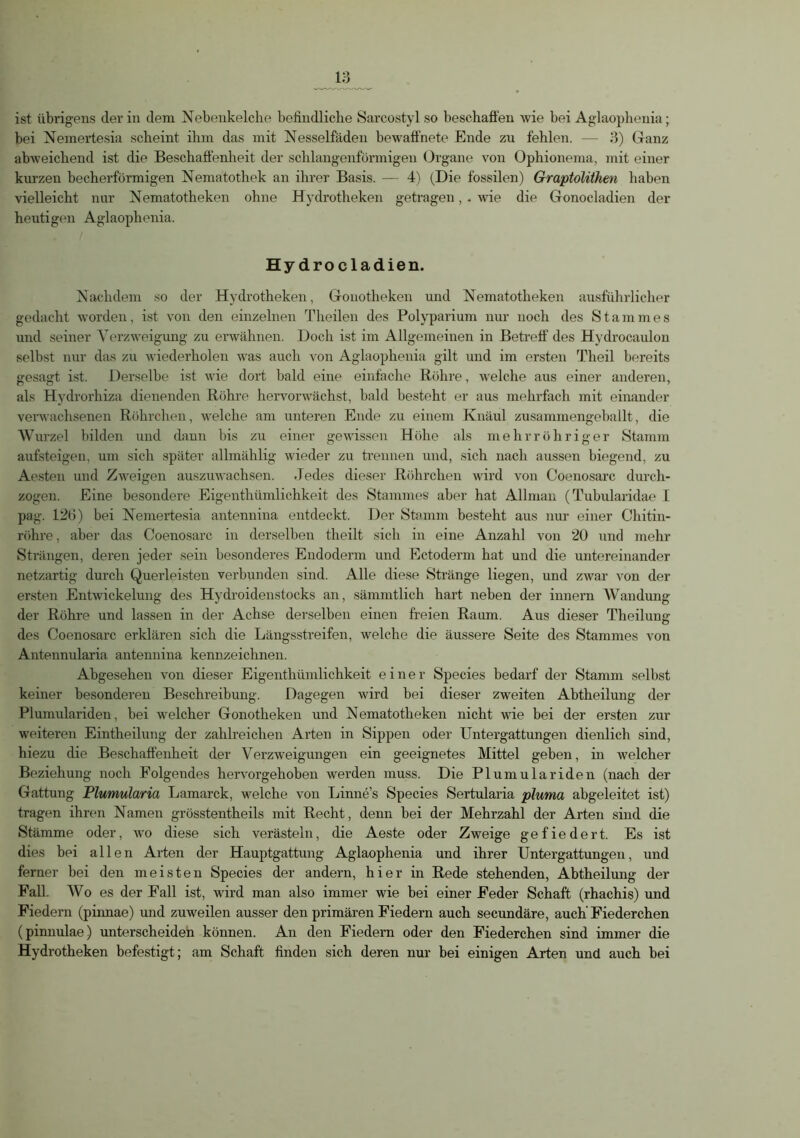 ist übrigens der in dem Nebenkelche befindliche Sarcostyl so beschaffen wie bei Aglaophenia; bei Nemertesia scheint ihm das mit Nesselfäden bewaffnete Ende zu fehlen. — 3) (ranz abweichend ist die Beschaffenheit der schlangenförmigen Organe von Ophionema, mit einer kurzen becherförmigen Nematothek an ihrer Basis. — 4) (Die fossilen) Graptolithen haben vielleicht nur Nematotheken ohne Hydrotheken getragen, . wie die Gonoeladien der heutigen Aglaophenia, Hy drocladien. Nachdem so der Hydrotheken, Gonotheken und Nematotheken ausführlicher gedacht worden, ist von den einzelnen Theilen des Polyparium nur noch des S t a m m e s und seiner Verzweigung zu erwähnen. Doch ist im Allgemeinen in Betreff des Hydrocaulon selbst nur das zu wiederholen was auch von Aglaophenia gilt und im ersten Theil bereits gesagt ist. Derselbe ist wie dort bald eine einfache Röhre, welche aus einer anderen, als Hydrorhiza dienenden Röhre hervorwächst, bald besteht er aus mehrfach mit einander verwachsenen Röhrchen, welche am unteren Ende zu einem Knäul zusammengeballt, die Wurzel bilden und dann bis zu einer gewissen Höhe als mehrröhriger Stamm aufsteigen, um sich später allmählig wieder zu trennen und, sich nach aussen biegend, zu Aesten und Zweigen auszuwachsen. Jedes dieser Röhrchen wird von Coenosarc durch- zogen. Eine besondere Eigenthümliehkeit des Stammes aber hat Allrnan (Tubularidae I pag. 126) bei Nemertesia antennina entdeckt. Der Stamm besteht aus nur einer Chitin- röhre , aber das Coenosarc in derselben theilt sich in eine Anzahl von 20 und mehr Strängen, deren jeder sein besonderes Endoderm und Ectoderm hat und die untereinander netzartig durch Querleisten verbunden sind. Alle diese Stränge liegen, und zwar von der ersten Entwickelung des Hydroidenstocks an, sämmtlich hart neben der innern Wandung der Röhre und lassen in der Achse derselben einen freien Raum. Aus dieser Theilung des Coenosarc erklären sich die Längsstreifen, welche die äussere Seite des Stammes von Antennularia antennina kennzeichnen. Abgesehen von dieser Eigenthümliehkeit einer Species bedarf der Stamm selbst keiner besonderen Beschreibung. Dagegen wird bei dieser zweiten Abtheilung der Plumulariden, bei welcher Gonotheken und Nematotheken nicht wie bei der ersten zur weiteren Eintheilung der zahlreichen Arten in Sippen oder Untergattungen dienlich sind, hiezu die Beschaffenheit der Verzweigungen ein geeignetes Mittel geben, in welcher Beziehung noch Folgendes hervorgehoben werden muss. Die Plumulariden (nach der Gattung Plumularia Lamarck, welche von Linnes Species Sertularia pluma abgeleitet ist) tragen ihren Namen grösstentheils mit Recht, denn bei der Mehrzahl der Arten sind die Stämme oder, wo diese sich verästeln, die Aeste oder Zweige gefiedert. Es ist dies bei allen Arten der Hauptgattung Aglaophenia und ihrer Untergattungen, und ferner bei den meisten Species der andern, hier in Rede stehenden, Abtheilung der Fall. Wo es der Fall ist, wird man also immer wie bei einer Feder Schaft (rhachis) und Fiedern (pinnae) und zuweilen ausser den primären Fiedern auch secundäre, auch Fiederchen (pinnulae) unterscheiden können. An den Fiedern oder den Fiederchen sind immer die Hydrotheken befestigt; am Schaft finden sich deren nur bei einigen Arten und auch bei