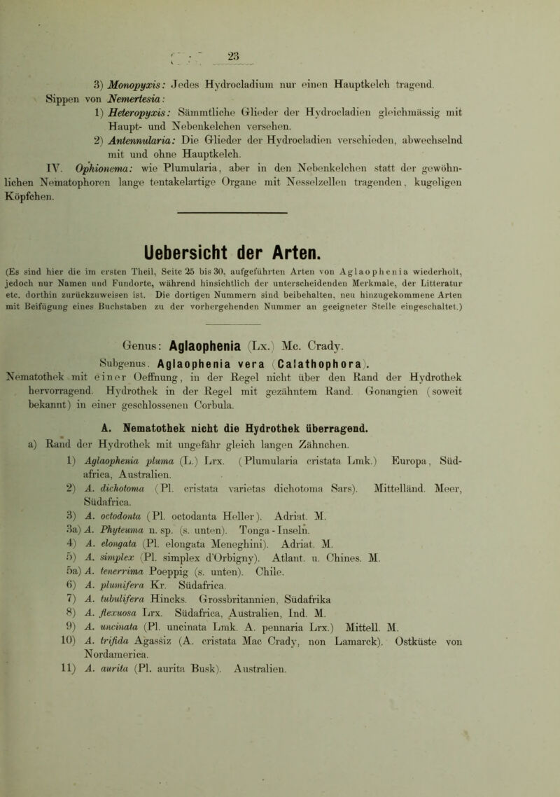 3) Monopyxis: Jedes Hydrocladiuni nur einen Hauptkelch tragend. Sippen von Nemertesia: 1) Heteropyxis: Sämmtliche Glieder der Hydrocladien gleichmässig mit Haupt- und Nebenkelchen versehen. 2) Antennularia: Die Glieder der Hydrocladien verschieden, abwechselnd mit und ohne Hauptkelch. IV. Opkionema: wie Plumularia, aber in den Nebenkelchen statt der gewöhn- lichen Nematophoren lange tentakelartige Organe mit Nessel/ellen tragenden, kugeligen Köpfchen. Uebersicht der Arten. (Es sind hier die im ersten Theil, Seite 25 bis 30, aufgeführten Arten von Aglaophenia wiederholt, jedoch nur Namen und Fundorte, während hinsichtlich der unterscheidenden Merkmale, der Litteratur etc. dorthin zurückzuweisen ist. Die dortigen Nummern sind beibehalten, neu hinzugekommene Arten mit Beifügung eines Buchstaben zu der vorhergehenden Nummer an geeigneter Stelle eingeschaltet.) Genus: Aglaophenia (Lx.) Mc. Crady. Subgenus. Aglaophenia vera Caiathophora). Nematothek mit einer Oeffnung, in der Regel nicht über den Rand der Hydrothek hervorragend. Hydrothek in der Regel mit gezähntem Rand. Gonangien (soweit bekannt) in einer geschlossenen Corbula. A. Nematothek nicht die Hydrothek überragend. a) Rand der Hydrothek mit ungefähr gleich langen Zähnchen. 1) Aglaophenia pluma (L.) Lrx. (Plumularia cristata Lmk.) Europa, Süd- africa, Australien. 2) A. dichotoma (PI. cristata varietas dichotoma Sars). Mittelländ. Meer, Südafrica. 3) A. ododonta (PI. octodanta Heller). Adriat. M. 3a) A. Phyteuma n. sp. (s. unten). Tonga-Inseln. 4) A. elongata (PI. elongata Meneghini). Adriat. M. 5) A. Simplex (PI. simplex d’Orbigny). Atlant, u. Chines. M. 5a) A. tenerrima Poeppig (s. unten). Chile. 6) A. plumifera Kr. Südafrica. 7) A. tubulifera Hincks. Grossbritannien, Südafrika 8) A. flexuosa Lrx. Südafrica, Australien, Ind. M. 9) A. uncinata (PI. uncinata Lmk. A. pennaria Lrx.) Mittel! M. 10) A. trifida Agassiz (A. cristata Mac Crady, non Lamarck). Ostküste von Nordamerica.