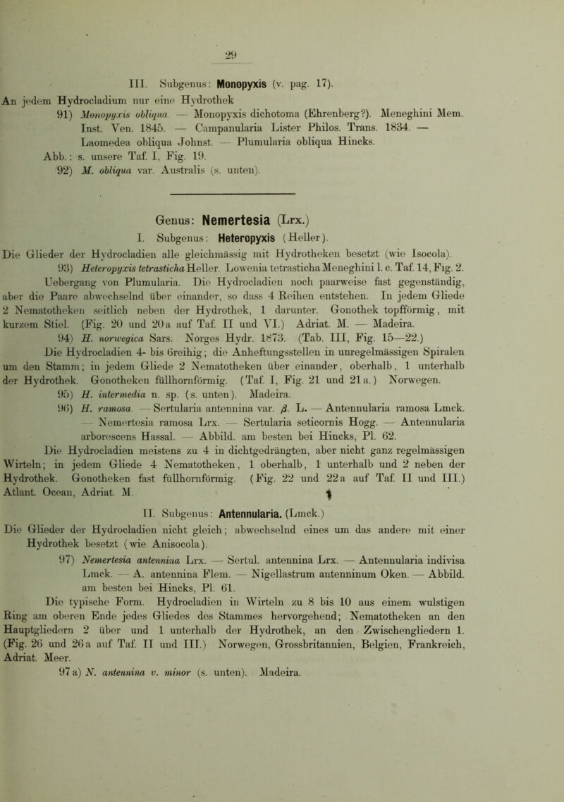 An jedem Hydrocladium nur eine Hydrothek 91) Monopyxis obliqua — Monopyxis dichotoma (Ehrenberg'?). Meneghini Mein. Inst. Yen. 1845. — Campanularia Lister Philos. Trans. 1834. — Laomedea obliqua .lohnst. — Plumularia obliqua Hincks. Abb.: s. unsere Taf. I, Fig. 19. 92) M. obliqua var. Australis (s. unten). Genus: Nemertesia (Lrx.) 1. Subgenus: Heteropyxis (Heller). Die Glieder der Hydrocladien alle gleichmässig mit Hydrotbeken besetzt (wie Isocola). 93) Heteropyxis tetrasticha Heller. Lowenia tetrasticbaMeneghini 1. c. Taf. 14, Fig. 2. Uebergang von Plumularia. Die Hydrocladien noch paarweise fast gegenständig, aber die Paare abwechselnd über einander, so dass 4 Reiben entstehen. In jedem Gliede 2 Nematotheken seitlich neben der Hydrothek, 1 darunter. Gonothek topfförmig, mit kurzem Stiel. (Fig. 20 und 20 a auf Taf. II und VI.) Adriat. M. — Madeira. 94) H. norwegica Sars. Norges Hydr. 1873. (Tab. III, Fig. 15—22.) Die Hydrocladien 4- bis üreihig; die Anheftungsstellen in unregelmässigen Spiralen um den Stamm; in jedem Gliede 2 Nematotheken über einander, oberhalb, 1 unterhalb der Hydrothek. Gonotheken füllhornförmig. (Taf. I, Fig. 21 und 21a.) Norwegen. 95) H. intermedia n. sp. (s. unten). Madeira. 90) H. ramosa. — Sertularia antennina var. ß. L. — Antennularia ramosa Lmck. — Nemertesia ramosa Lrx. — Sertularia seticornis Hogg. - Antennularia arborescens Hassal. — Abbild, am besten bei Hincks, PI. 02. Die Hydrocladien meistens zu 4 in dichtgedrängten, aber nicht ganz regelmässigen Wirteln; in jedem Gliede 4 Nematotheken, 1 oberhalb, 1 unterhalb und 2 neben der Hydrothek. Gonotheken fast füllhornförmig. (Fig. 22 und 22a auf Taf. II und III.) Atlant. Ocean, Adriat. M. ^ II. Subgenus: Antennularia. (Lmck.) Die Glieder der Hydrocladien nicht gleich; abwechselnd eines um das andere mit einer Hydrothek besetzt (wie Anisocola). 97) Nemertesia antennina Lrx. — Sertul. antennina Lrx. — Antennularia indivisa Lmck. — A. antennina Flem. — Nigellastrum antenninum Oken. — Abbild, am besten bei Hincks, PI. 01. Die typische Form. Hydrocladien in Wirteln zu 8 bis 10 aus einem wulstigen Ring am oberen Ende jedes Gliedes des Stammes hervorgehend; Nematotheken an den Hauptgliedern 2 über und 1 unterhalb der Hydrothek, an den Zwischengliedern 1. (Fig. 20 und 20 a auf Taf. II und III.) Norwegen, Grossbritannien, Belgien, Frankreich, Adriat. Meer. 97 a) N. antennina v. minor (s. unten). Madeira.