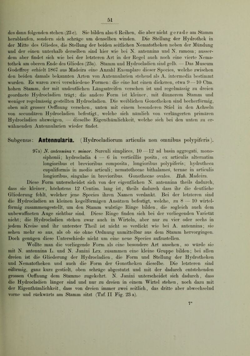 des dann folgenden stehen ^23 c). Sie bilden also 6 Reihen, die aber nicht gerade am Stamm herablaufen, sondern sich schräge um denselben winden. Die Stellung der Hydrothek in der Mitte des Gliedes, die Stellung der beiden seitlichen Nematotheken neben der Mündung und der einen unterhalb derselben sind hier wie bei N. antennina und N. ramosa; ausser- dem aber findet sich wie bei der letzteren Art in der Regel auch noch eine vierte Nema- tothek am oberen Ende des Gliedes (23a). Stamm und Hydrocladien sind gelb. — Das Museum Godeffroy erhielt 1867 aus Madeira eine Anzahl Exemplare dieser Species, welche zwischen den beiden damals bekannten Arten von Antennularien stehend als A. intermedia bestimmt wurden. Es waren zwei verschiedene Formen: die eine hat einen dickeren, etwa 9 —10 Ctm. hohen Stamm, der mit undeutlichen Längsstreifen versehen ist und regelmässig zu dreien geordnete Hydrocladien trägt; die andere Form ist kleiner, mit dünnerem Stamm und weniger regelmässig gestellten Hydrocladien. Die weiblichen Gonotheken sind becherförmig, oben mit grosser Oeffnung versehen, unten mit einem besonderen Stiel in den Achseln von secundären Hydrocladien befestigt, welche sich nämlich von verlängerten primären Hydrocladien abzweigen, — dieselbe Eigentümlichkeit, welche sich hei den unten zu er- wähnenden Antennularien wieder findet. Subgenus: Antennularia. (Hydrocladiorum articulis non omnibus polypiferis). 97a) 2V. antennina v. minor. Sureuli simplices, 10 12 ad basin aggregati, mono- siphonii; hydrocladia 4 — 6 in verticillis posita, ex articulis alternatim longioribus et brevioribus composita, longioribus polypiferis; hydrotheca cupuliformis in medio articuli; nematothecae bithalames, ternae in articulis longioribus, singulae in brevioribus. Gonothecae ovales. Hab. Madeira. Diese Form unterscheidet sich von der eigentlichen N. antennina theils dadurch, dass sie kleiner, höchstens 12 Centim. lang ist, theils dadurch dass ihr die deutliche Gliederung fehlt, welcher jene Species ihren Namen verdankt. Bei der letzteren sind die Hydrocladien an kleinen kegelförmigen Ansätzen befestigt, welche, zu 8 — 10 wirtel- förmig zusammengestellt, um den Stamm wulstige Ringe bilden, die sogleich auch dem unbewaffneten Auge sichtbar sind. Diese Ringe finden sich bei der vorliegenden Varietät nicht; die Hydrocladien stehen zwar auch in Wirteln, aber nur zu vier oder sechs in jedem Kreise und ihr unterster Theil ist nicht so verdickt wie bei A. antennina; sie sehen mehr so aus, als ob sie ohne Ordnung unmittelbar aus dem Stamm hervorgingen. Doch genügen diese Unterschiede nicht um eine neue Species aufzustellen. Wollte man die vorliegende Form als eine besondere Art ansehen, so würde sie mit N. antennina L. und N. Janini Lrx. zusammen eine kleine Gruppe bilden; bei allen dreien ist die Gliederung der Hydrocladien, die Form und Stellung der Hydrotheken und Nematotheken und auch die Form der Gonotheken dieselbe. Die letzteren sind eiförmig, ganz kurz gestielt, oben schräge abgestutzt und mit der dadurch entstehenden grossen Oeffnung dem Stamme zugekehrt. N. Janini unterscheidet sich dadurch, dass die Hydrocladien länger sind und nur zu dreien in einem Wirtel stehen, noch dazu mit der Eigenthümlichkeit, dass von dreien immer zwei seitlich, das dritte aber abwechselnd vorne und rückwärts am Stamm sitzt (Taf. II Fig. 23 a). 7
