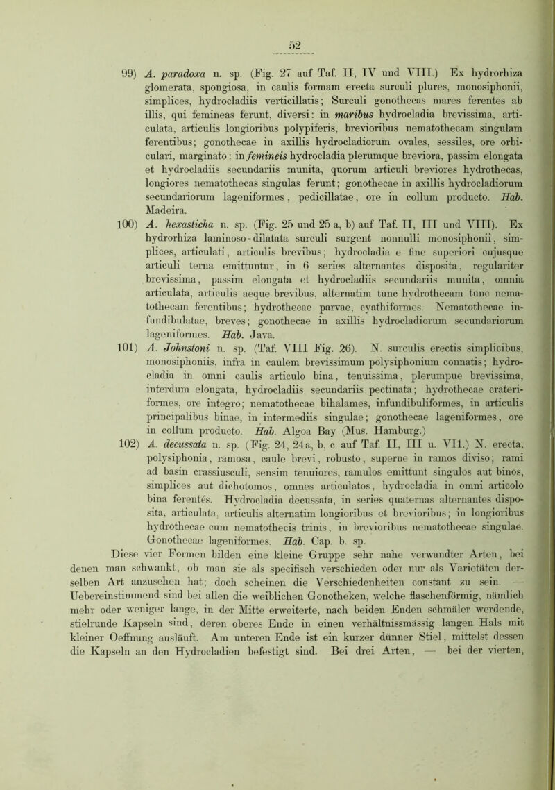 glomerata, Spongiosa, in caulis formam erecta surculi plures, monosiphonii, simplices, hydrocladiis verticillatis; Surculi gonothecas mares ferentes ab illis, qui femineas ferunt, diversi: in maribus hydrocladia brevissima, arti- culata, articulis longioribus polypiferis, brevioribus nematothecam singulam ferentibus; gonothecae in axillis hydrocladiorum ovales, sessiles, ore orbi- culari, marginato: in femineis hydrocladia plerumque breviora, passim elongata et hydrocladiis secundariis munita, quorum articuli breviores hydrothecas, longiores nematothecas singulas ferunt; gonothecae in axillis hydrocladiorum secundariorum lageniformes, pedicillatae, ore in collum producto. Hab. Madeira. 100) A. hexasiicha n. sp. (Fig. 25 und 25 a, b) auf Taf. II, III und VIII). Ex hydrorhiza laminoso-dilatata surculi surgent nonnulli monosiphonii, sim- plices, articulati, articulis brevibus; hydrocladia e fine superiori cujusque articuli terna emittuntur, in 6 series alternantes disposita, regulariter brevissima, passim elongata et hydrocladiis secundariis munita, omnia articulata, articulis aeque brevibus, alternatim tune hydrothecam tune nema- tothecam ferentibus; hydrothecae parvae, cyathiformes. Nematothecae in- fundibulatae, breves; gonothecae in axillis hydrocladiorum secundariorum lageniformes. Hab. Java. 101) A. Johnstoni n. sp. (Taf. VIII Fig. 26). N. surculis erectis simplicibus, monosiphoniis, infra in caulem brevissimum polysiphonium connatis; hydro- cladia in omni caulis articulo bina, tenuissima, plerumpue brevissima, interdum elongata, hydrocladiis secundariis pectinata; hydrothecae crateri- formes, ore integro; nematothecae bilialames, infundibuliformes, in articulis principalibus binae, in intermediis singulae; gonothecae lageniformes, ore in collum producto. Hab. Algoa ßay (Mus. Hamburg.) 102) A. decussata n. sp. (Fig. 24, 24a, b, c auf Taf. II, III u. VII.) N. erecta, polysiphonia, rarnosa, caule brevi, robusto, superne in ramos diviso; rami ad basin crassiusculi, sensim tenuiores, ramulos emittunt singulos aut binos, simplices aut dichotomos, omnes articulatos, hydrocladia in omni articolo hina ferentes. Hydrocladia decussata, in series quaternas alternantes dispo- sita, articulata, articulis alternatim longioribus et brevioribus; in longioribus hydrothecae cum nematothecis trinis, in brevioribus nematothecae singulae. Gonothecae lageniformes. Hab. Cap. b. sp. Diese vier Formen bilden eine kleine Gruppe sehr nahe verwandter Arten, bei denen man schwankt, ob man sie als specifisch verschieden oder nur als Varietäten der- selben Art anzusehen hat; doch scheinen die Verschiedenheiten constant zu sein. Uebereinstimmend sind bei allen die weiblichen Gonotheken, welche flaschenförmig, nämlich mehr oder weniger lange, in der Mitte erweiterte, nach beiden Enden schmäler werdende, stielrunde Kapseln sind, deren oberes Ende in einen verhältnissmässig langen Hals mit kleiner Oeffnung ausläuft. Am unteren Ende ist ein kurzer dünner Stiel, mittelst dessen die Kapseln an den Hydrocladien befestigt sind. Bei drei Arten, — bei der vierten,