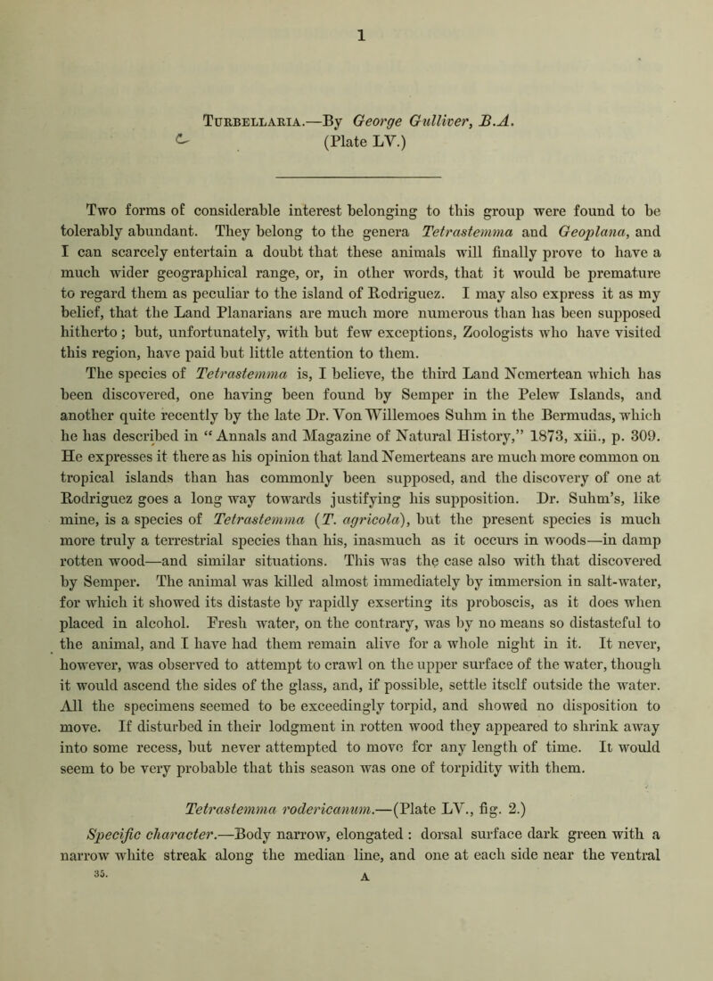 Turbellaria.—By George Gulliver, B.A. ^ (Plate LY.) Two forms o£ considerable interest belonging to this group were found to be tolerably abundant. They belong to the genera Tetrastemma and Geoplana, and I can scarcely entertain a doubt that these animals will finally prove to have a much wider geographical range, or, in other words, that it would be premature to regard them as peculiar to the island of Bodriguez. I may also express it as my belief, that the Land Planarians are much more numerous than has been supposed hitherto ; but, unfortunately, with but few exceptions, Zoologists who have visited this region, have paid but little attention to them. The species of Tetrastemma is, I believe, the third Land Nemertean which has been discovered, one having been found by Semper in the Pelew Islands, and another quite recently by the late Dr. Yon Willemoes Sulim in the Bermudas, which he has described in “Annals and Magazine of Natural History,” 1873, xiii., p. 309. He expresses it there as his opinion that land Nemerteans are much more common on tropical islands than has commonly been supposed, and the discovery of one at Bodriguez goes a long way towards justifying his supposition. Hr. Sulim’s, like mine, is a species of Tetrastemma (T. agricola), but the present species is much more truly a terrestrial species than his, inasmuch as it occurs in woods—in damp rotten wood—and similar situations. This was the case also with that discovered by Semper. The animal was killed almost immediately by immersion in salt-water, for which it showed its distaste by rapidly exserting its proboscis, as it does when placed in alcohol. Presh water, on the contrary, was by no means so distasteful to the animal, and I have had them remain alive for a whole night in it. It never, however, was observed to attempt to crawl on the upper surface of the water, though it would ascend the sides of the glass, and, if possible, settle itself outside the water. All the specimens seemed to be exceedingly torpid, and showed no disposition to move. If disturbed in their lodgment in rotten wood they appeared to shrink away into some recess, but never attempted to move for any length of time. It would seem to be very probable that this season was one of torpidity with them. Tetrastemma rodericanum.—(Plate LY., fig. 2.) Specific character.—Body narrow, elongated : dorsal surface dark green with a narrow wdiite streak along the median line, and one at each side near the ventral 35. A