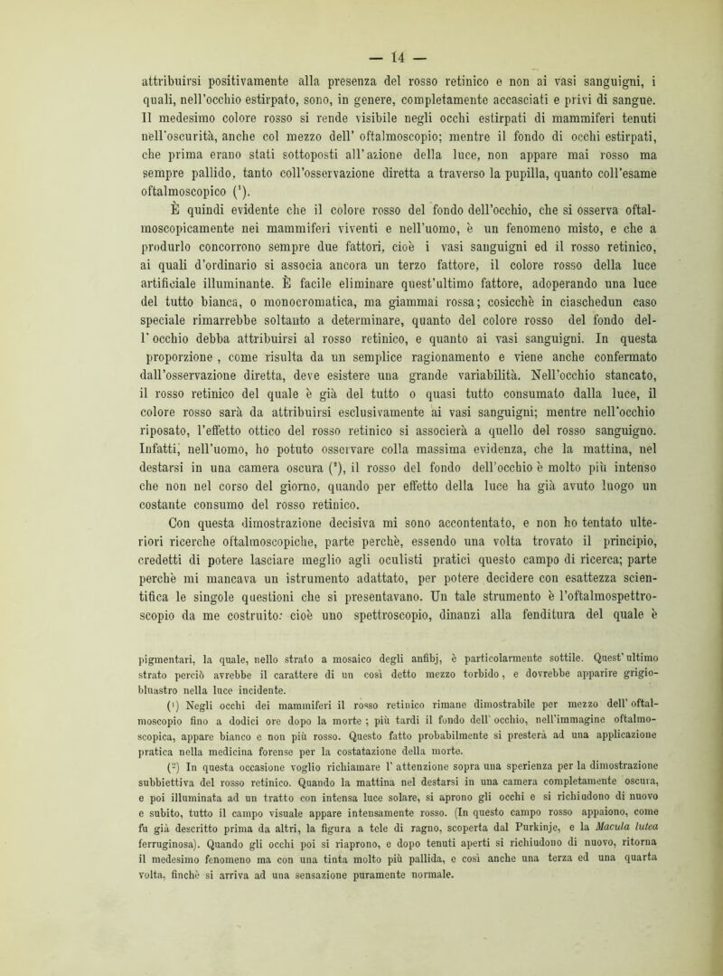attribuirsi positivamente alla presenza del rosso retinico e non ai vasi sanguigni, i quali, nell’occhio estirpato, sono, in genere, completamente accasciati e privi di sangue. Il medesimo colore rosso si rende visibile negli occhi estirpati di mammiferi tenuti nell’oscurità, anche col mezzo dell’ oftalmoscopio; mentre il fondo di occhi estirpati, che prima erano stati sottoposti all’azione della luce, non appare mai rosso ma sempre pallido, tanto coll’osservazione diretta a traverso la pupilla, quanto coll’esame oftalmoscopico ('). È quindi evidente che il colore rosso del fondo dell’occhio, che si osserva oftal- moscopicamente nei mammiferi viventi e nell’uomo, è un fenomeno misto, e che a produrlo concorrono sempre due fattori, cioè i vasi sanguigni ed il rosso retinico, ai quali d’ordinario si associa ancora un terzo fattore, il colore rosso della luce artificiale illuminante. È facile eliminare quest’ultimo fattore, adoperando una luce del tutto bianca, o monocromatica, ma giammai rossa; cosicché in ciaschedun caso speciale rimarrebbe soltanto a determinare, quanto del colore rosso del fondo del- 1’ occhio debba attribuirsi al rosso retinico, e quanto ai vasi sanguigni. In questa proporzione , come risulta da un semplice ragionamento e viene anche confermato dall’osservazione diretta, deve esistere una grande variabilità. Nell’occhio stancato, il rosso retinico del quale è già del tutto o quasi tutto consumato dalla luce, il colore rosso sarà da attribuirsi esclusivamente ai vasi sanguigni; mentre nell'occhio riposato, l’effetto ottico del rosso retinico si associerà a quello del rosso sanguigno. Infatti, nell’uomo, ho potuto osservare colla massima evidenza, che la mattina, nel destarsi in una camera oscura (2), il rosso del fondo dell’occhio è molto più intenso che non nel corso del giorno, quando per effetto della luce ha già avuto luogo un costante consumo del rosso retiuico. Con questa dimostrazione decisiva mi sono accontentato, e non ho tentato ulte- riori ricerche oftalmoscopiche, parte perchè, essendo una volta trovato il principio, credetti di potere lasciare meglio agli oculisti pratici questo campo di ricerca; parte perchè mi mancava un istrumento adattato, per potere decidere con esattezza scien- tifica le singole questioni che si presentavano. Un tale strumento è l’oftalmospettro- scopio da me costruito: cioè uno spettroscopio, dinanzi alla fenditura del quale è pigmentari, la quale, nello strato a mosaico degli anfibj, è particolarmente sottile. Quest’ ultimo strato perciò avrebbe il carattere di un così detto mezzo torbido, e dovrebbe apparire grigio- bluastro nella luce incidente. (') Negli occhi dei mammiferi il rosso retinico rimane dimostrabile per mezzo dell’oftal- moscopio fino a dodici ore dopo la morte ; più tardi il fondo dell occhio, nell'immagine oftalmo- scopica, appare bianco e non più rosso. Questo fatto probabilmente si presterà ad una applicazione pratica nella medicina forense per la costatazione della morte. (2) In questa occasione voglio richiamare 1’ attenzione sopra una sperienza per la dimostrazione subbiettiva del rosso retinico. Quando la mattina nel destarsi in una camera completamente oscura, e poi illuminata ad un tratto con intensa luce solare, si aprono gli occhi e si richiudono di nuovo e subito, tutto il campo visuale appare intensamente rosso. (In questo campo rosso appaiono, come fu già descritto prima da altri, la figura a tele di ragno, scoperta dal Purkinje, e la Macula lutea ferruginosa). Quando gli occhi poi si riaprono, e dopo tenuti aperti si richiudono di nuovo, ritorna il medesimo fenomeno ma con una tinta molto più pallida, e così anche una terza ed una quarta volta, finché si arriva ad una sensazione puramente normale.