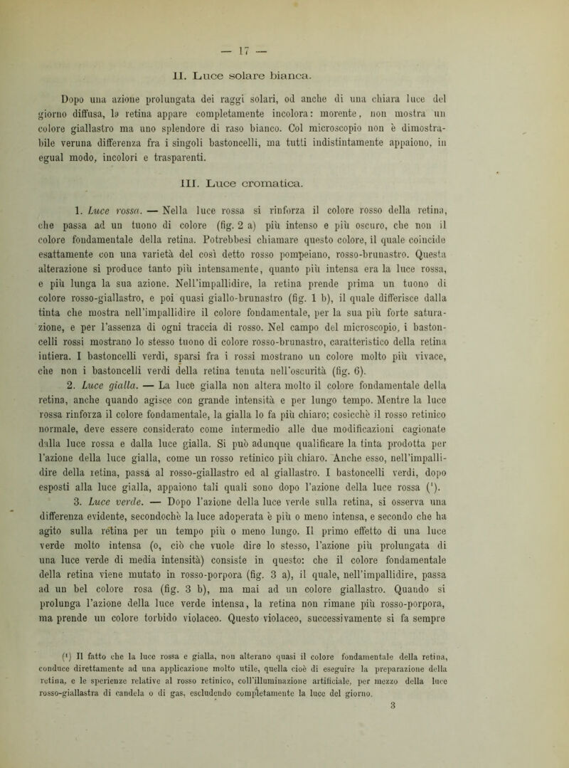 11. Luce solare bianca. Dopo una azione prolungata dei raggi solari, od anche di una chiara luce del giorno diffusa, la retina appare completamente incolora: morente, non mostra un colore giallastro ma uno splendore di raso bianco. Col microscopio non è dimostra- bile veruna differenza fra i singoli bastoncelli, ma tutti indistintamente appaiono, in egual modo, incolori e trasparenti. 111. Luce cromatica. 1. Luce rossa. — Nella luce rossa si rinforza il colore rosso della retina, che passa ad un tuono di colore (fig. 2 a) più intenso e più oscuro, che non il colore fondamentale della retina. Potrebbesi chiamare questo colore, il quale coincide esattamente con una varietà del così detto rosso pompeiano, rosso-brunastro. Questa alterazione si produce tanto più intensamente, quanto più intensa era la luce rossa, e più lunga la sua azione. Neirimpallidire, la retina prende prima un tuono di colore rosso-giallastro, e poi quasi giallo-brunastro (fig. 1 b), il quale differisce dalla tinta che mostra neirimpallidire il colore fondamentale, per la sua più forte satura- zione, e per l’assenza di ogni traccia di rosso. Nel campo del microscopio, i baston- celli rossi mostrano lo stesso tuono di colore rosso-brunastro, caratteristico della retina intiera. I bastoncelli verdi, sparsi fra i rossi mostrano un colore molto più vivace, che non i bastoncelli verdi della retina tenuta neU’oscurità (fig. 6). 2. Luce gialla. — La luce gialla non altera molto il colore fondamentale della retina, anche quando agisce con grande intensità e per lungo tempo. Mentre la luce rossa rinforza il colore fondamentale, la gialla lo fa più chiaro; cosicché il rosso retinico normale, deve essere considerato come intermedio alle due modificazioni cagionate dulia luce rossa e dalla luce gialla. Si può adunque qualificare la tinta prodotta per l’azione della luce gialla, come un rosso retinico più chiaro. Anche esso, neU’impalli- dire della retina, passa al rosso-giallastro ed al giallastro. I bastoncelli verdi, dopo esposti alla luce gialla, appaiono tali quali sono dopo l’azione della luce rossa (l). 3. Luce verde. — Dopo l’azione della luce verde sulla retina, si osserva una differenza evidente, secondochè la luce adoperata è più o meno intensa, e secondo che ha agito sulla retina per un tempo più o meno lungo. Il primo effetto di una luce verde molto intensa (o, ciò che vuole dire lo stesso, l’azione più prolungata di una luce verde di media intensità) consiste in questo: che il colore fondamentale della retina viene mutato in rosso-porpora (fig. 3 a), il quale, neirimpallidire, passa ad un bel colore rosa (fig. 3 b), ma mai ad un colore giallastro. Quando si prolunga l’azione della luce verde intensa, la retina non rimane più rosso-porpora, ma prende un colore torbido violaceo. Questo violaceo, successivamente si fa sempre (l) Il fatto che la luce rossa e gialla, non alterano quasi il colore fondamentale della retina, conduce direttamente ad una applicazione molto utile, quella cioè di eseguire la preparazione della retina, e le sperieuze relative al rosso retinico, coirilluminazione artificiale, per mezzo della luce rosso-giallastra di candela o di gas, escludendo completamente la luce del giorno. 3