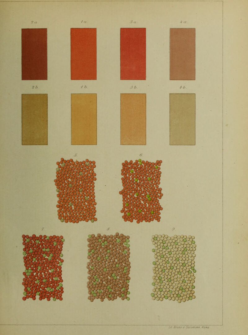 Lir Bruno e Salomone, Roma