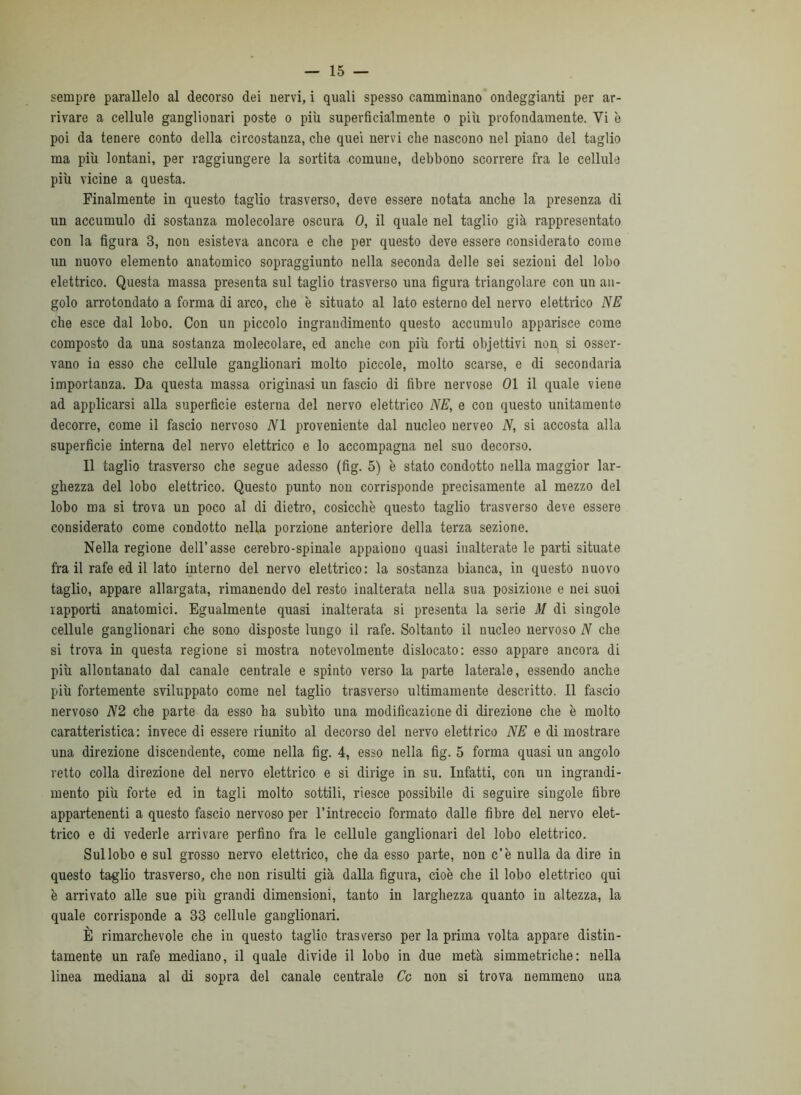 sempre parallelo al decorso dei nervi, i quali spesso camminano ondeggianti per ar- rivare a cellule ganglionari poste o più superficialmente o più profondamente. Vi è poi da tenere conto della circostanza, che quei nervi che nascono nel piano del taglio ma più lontani, per raggiungere la sortita comune, debbono scorrere fra le cellule più vicine a questa. Finalmente in questo taglio trasverso, deve essere notata anche la presenza di un accumulo di sostanza molecolare oscura 0, il quale nel taglio già rappresentato con la figura 3, non esisteva ancora e che per questo deve essere considerato come un nuovo elemento anatomico sopraggiunto nella seconda delle sei sezioni del lobo elettrico. Questa massa presenta sul taglio trasverso una figura triangolare con un an- golo arrotondato a forma di arco, che è situato al lato esterno del nervo elettrico NE che esce dal lobo. Con un piccolo ingrandimento questo accumulo apparisce come composto da una sostanza molecolare, ed anche con più forti objettivi non si osser- vano in esso che cellule ganglionari molto piccole, molto scarse, e di secondaria importanza. Da questa massa originasi un fascio di fibre nervose 01 il quale viene ad applicarsi alla superficie esterna del nervo elettrico NE, e con questo unitamente decorre, come il fascio nervoso NI proveniente dal nucleo nerveo N, si accosta alla superficie interna del nervo elettrico e lo accompagna nel suo decorso. Il taglio trasverso che segue adesso (fig. 5) è stato condotto nella maggior lar- ghezza del lobo elettrico. Questo punto non corrisponde precisamente al mezzo del lobo ma si trova un poco al di dietro, cosicché questo taglio trasverso deve essere considerato come condotto nella porzione anteriore della terza sezione. Nella regione dell’asse cerebro-spinale appaiono quasi inalterate le parti situate fra il rafe ed il lato interno del nervo elettrico: la sostanza bianca, in questo nuovo taglio, appare allargata, rimanendo del resto inalterata nella sua posizione e nei suoi rapporti anatomici. Egualmente quasi inalterata si presenta la serie M di singole cellule ganglionari che sono disposte lungo il rafe. Soltanto il nucleo nervoso N che si trova in questa regione si mostra notevolmente dislocato: esso appare ancora di più allontanato dal canale centrale e spinto verso la parte laterale, essendo anche più fortemente sviluppato come nel taglio trasverso ultimamente descritto. 11 fascio nervoso N2 che parte da esso ha subito una modificazione di direzione che è molto caratteristica: invece di essere riunito al decorso del nervo elettrico NE e di mostrare una direzione discendente, come nella fig. 4, esso nella fig. 5 forma quasi un angolo retto colla direzione del nervo elettrico e si dirige in su. Infatti, con un ingrandi- mento più forte ed in tagli molto sottili, riesce possibile di seguire singole fibre appartenenti a questo fascio nervoso per l’intreccio formato dalle fibre del nervo elet- trico e di vederle arrivare perfino fra le cellule ganglionari del lobo elettrico. Sul lobo e sul grosso nervo elettrico, che da esso parte, non c’è nulla da dire in questo taglio trasverso, che non risulti già dalla figura, cioè che il lobo elettrico qui è arrivato alle sue più grandi dimensioni, tanto in larghezza quanto in altezza, la quale corrisponde a 33 cellule ganglionari. È rimarchevole che in questo taglio trasverso per la prima volta appare distin- tamente un rafe mediano, il quale divide il lobo in due metà simmetriche; nella linea mediana al di sopra del canale centrale Cc non si trova nemmeno una