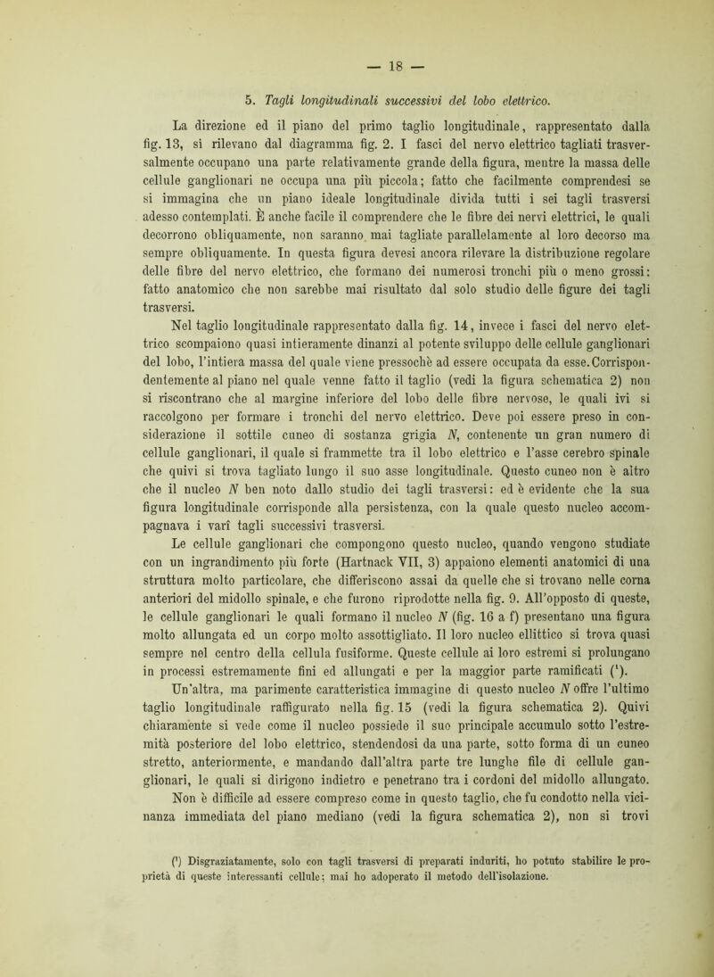 5. Tagli longitudinali successivi del lobo elettì'ico. La direzione ed il piano del primo taglio longitudinale, rappresentato dalla fig. 13, si rilevano dal diagramma fig. 2. I fasci del nervo elettrico tagliati trasver- salmente occupano una parte relativamente grande della figura, mentre la massa delle cellule ganglionari ne occupa una più piccola; fatto che facilmente comprendesi se si immagina che un piano ideale longitudinale divida tutti i sei tagli trasversi adesso contemplati. È anche facile il comprendere che le fibre dei nervi elettrici, le quali decorrono obliquamente, non saranno, mai tagliate parallelamente al loro decorso ma sempre obliquamente. In questa figura devesi ancora rilevare la distribuzione regolare delle fibre del nervo elettrico, che formano dei numerosi tronchi più o meno grossi: fatto anatomico che non sarebbe mai risultato dal solo studio delle figure dei tagli trasversi. Nel taglio longitudinale rappresentato dalla fig. 14, invece i fasci del nervo elet- trico scompaiono quasi intieramente dinanzi al potente sviluppo delle cellule ganglionari del lobo, l’intiera massa del quale viene pressoché ad essere occupata da esse.Corrispon- dentemente al piano nel quale venne fatto il taglio (vedi la figura schematica 2) non si riscontrano che al margine inferiore del lobo delle fibre nervose, le quali ivi si raccolgono per formare i tronchi del nervo elettrico. Deve poi essere preso in con- siderazione il sottile cuneo di sostanza grigia N, contenente un gran numero di cellule ganglionari, il quale si frammette tra il lobo elettrico e l’asse cerebro spinale che quivi si trova tagliato lungo il suo asse longitudinale. Questo cuneo non è altro che il nucleo N ben noto dallo studio dei tagli trasversi : ed è evidente che la sua figura longitudinale corrisponde alla persistenza, con la quale questo nucleo accom- pagnava i vari tagli successivi trasversi. Le cellule ganglionari che compongono questo nucleo, quando vengono studiate con un ingrandimento più forte (Hartnack VII, 3) appaiono elementi anatomici di una struttura molto particolare, che differiscono assai da quelle che si trovano nelle corna anteriori del midollo spinale, e che furono riprodotte nella fig. 9. All’opposto di queste, le cellule ganglionari le quali formano il nucleo N (fig. 16 a f) presentano una figura molto allungata ed un corpo molto assottigliato. Il loro nucleo ellittico si trova quasi sempre nel centro della cellula fusiforme. Queste cellule ai loro estremi si prolungano in processi estremamente fini ed allungati e per la maggior parte ramificati (*). Un’altra, ma parimente caratteristica immagine di questo nucleo N offre l’ultimo taglio longitudinale rafiìgurato nella fig. 15 (vedi la figura schematica 2). Quivi chiaramente si vede come il nucleo possiede il suo principale accumulo sotto l’estre- mità posteriore del lobo elettrico, stendendosi da una parte, sotto forma di un cuneo stretto, anteriormente, e mandando dall’altra parte tre lunghe file di cellule gan- glionari, le quali si dirigono indietro e penetrano tra i cordoni del midollo allungato. Non è difficile ad essere compreso come in questo taglio, che fu condotto nella vici- nanza immediata del piano mediano (vedi la figura schematica 2), non si trovi (') Disgraziatamente, solo con tagli trasversi di preparati induriti, ho potuto stabilire le pro- prietà di queste interessanti cellule; mai ho adoperato il metodo dell'isolazione.