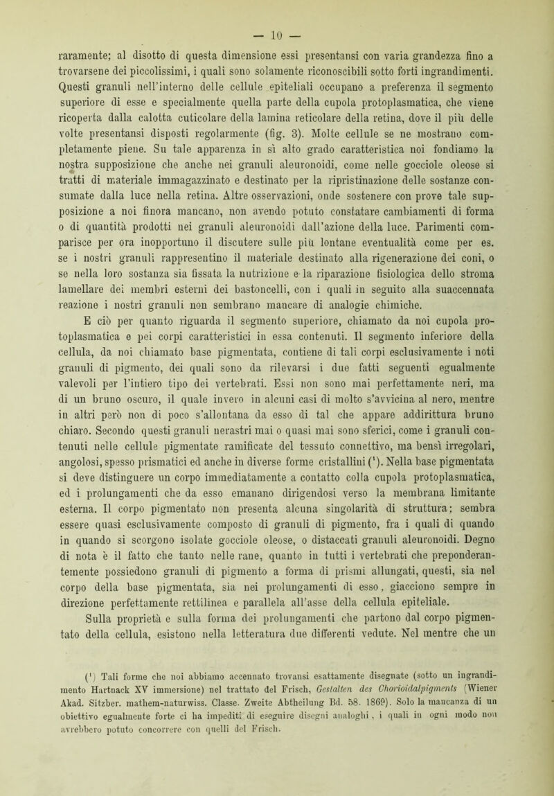 raramente; al disotto di questa dimensione essi presentansi con varia grandezza fino a trovarsene dei piccolissimi, i quali sono solamente riconoscibili sotto forti ingrandimenti. Questi granuli nell’interno delle cellule epiteliali occupano a preferenza il segmento superiore di esse e specialmente quella parte della cupola protoplasmatica, che viene ricoperta dalla calotta cuticolare della lamina reticolare della retina, dove il più delle volte presentansi disposti regolarmente (fig. 3). Molte cellule se ne mostrano com- pletamente piene. Su tale apparenza in sì alto grado caratteristica noi fondiamo la nostra supposizione che anche nei granuli aleuronoidi, come nelle gocciole oleose si tratti di materiale immagazzinato e destinato per la ripri sanazione delle sostanze con- sumate dalla luce nella retina. Altre osservazioni, onde sostenere con prove tale sup- posizione a noi finora mancano, non avendo potuto constatare cambiamenti di forma o di quantità prodotti nei granuli aleuronoidi dall’azione della luce. Parimenti com- parisce per ora inopportuno il discutere sulle più lontane eventualità come per es. se i nostri granuli rappresentino il materiale destinato alla rigenerazione dei coni, o se nella loro sostanza sia fissata la nutrizione e la riparazione fisiologica dello stroma lamellare dei membri esterni dei bastoncelli, con i quali iu seguito alla suaccennata reazione i nostri granuli non sembrano mancare di analogie chimiche. E ciò per quanto riguarda il segmento superiore, chiamato da noi cupola pro- toplasmatica e pei corpi caratteristici in essa contenuti. Il segmento inferiore della cellula, da noi chiamato base pigmentata, contiene di tali corpi esclusivamente i noti granuli di pigmento, dei quali sono da rilevarsi i due fatti seguenti egualmente valevoli per l’intiero tipo dei vertebrati. Essi non sono mai perfettamente neri, ma di un bruno oscuro, il quale invero in alcuni casi di molto s’avvicina al nero, mentre in altri però non di poco s’allontana da esso di tal che appare addirittura bruno chiaro. Secondo questi granuli nerastri mai o quasi mai sono sferici, come i granuli con- tenuti nelle cellule pigmentate ramificate del tessuto connettivo, ma bensì irregolari, angolosi, spesso prismatici ed anche in diverse forme cristallini ('). Nella base pigmentata si deve distinguere un corpo immediatamente a contatto colla cupola protoplasmatica, ed i prolungamenti che da esso emanano dirigendosi verso la membrana limitante esterna. Il corpo pigmentato non presenta alcuna singolarità di struttura; sembra essere quasi esclusivamente composto di granuli di pigmento, fra i quali di quando in quando si scorgono isolate gocciole oleose, o distaccati granuli aleuronoidi. Degno di nota è il fatto che tanto nelle rane, quauto in tutti i vertebrati che preponderan- temente possiedono granuli di pigmento a forma di prismi allungati, questi, sia nel corpo della base pigmentata, sia nei prolungamenti di esso, giacciono sempre in direzione perfettamente rettilinea e parallela all’asse della cellula epiteliale. Sulla proprietà e sulla forma dei prolungamenti che partono dal corpo pigmen- tato della cellula, esistono nella letteratura due differenti vedute. Nel mentre che un (') Tali forme che noi abbiamo accennato trovansi esattamente disegnate (sotto un ingrandi- mento Hartnack XY immersione) nel trattato del Frisch, Geslalten des Clwrioidalpigments (Wiener Akad. Sitzber. mathem-naturwiss. Classe. Zweite Abtheilung Bd. 58- 1869). Solo la mancanza di un obiettivo egualmente forte ci ha impediti di eseguire disegni analoghi, i quali in ogni modo non avrebbero potuto concorrere con quelli del Friseli.
