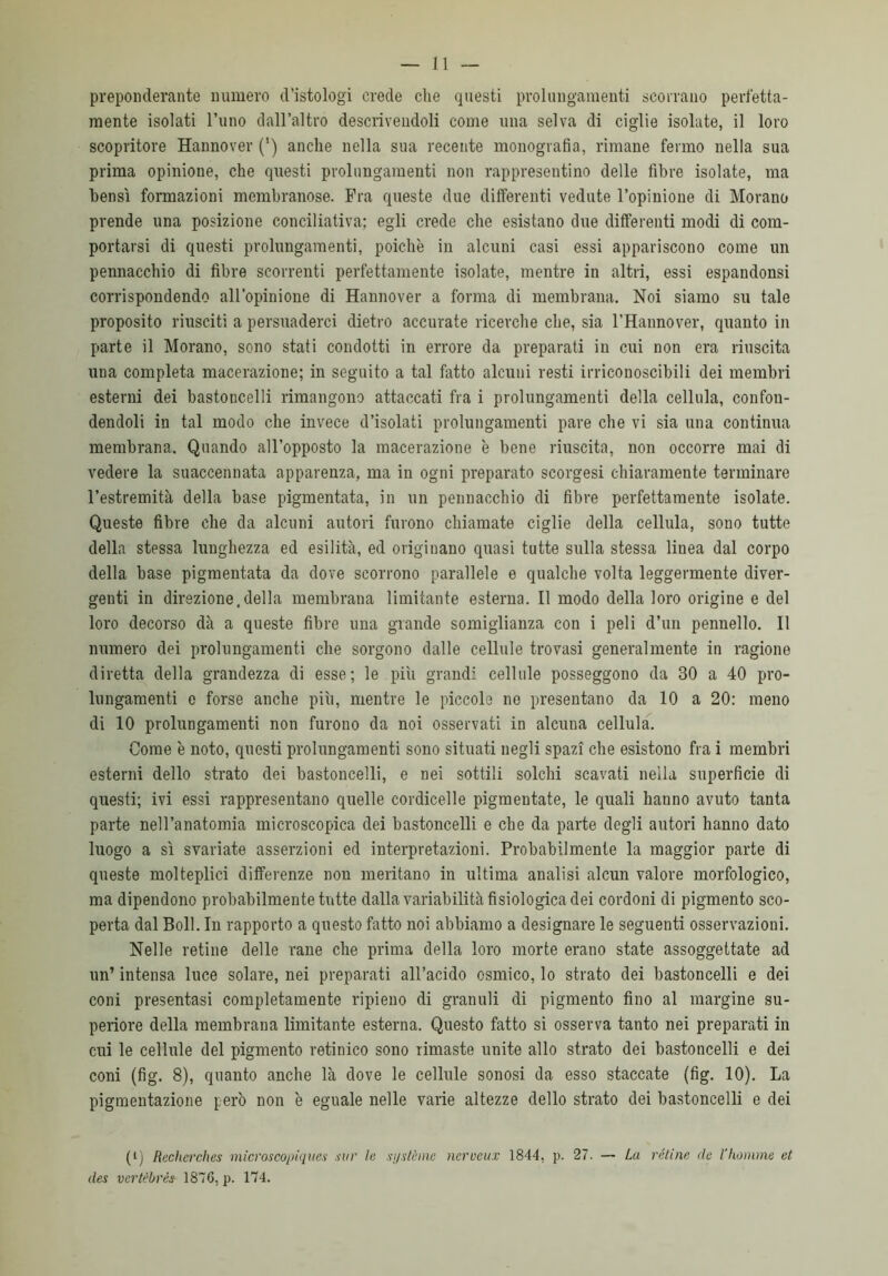 preponderante numero d’istologi erede che questi prolungamenti scorrano perfetta- mente isolati l’uno dall’altro descrivendoli come una selva di ciglie isolate, il loro scopritore Hannover (') anche nella sua recente monografia, rimane fermo nella sua prima opinione, che questi prolungamenti non rappresentino delle fibre isolate, ma bensì formazioni membranose. Fra queste due differenti vedute l’opinione di Morano prende una posizione conciliativa; egli credo che esistano due differenti modi di com- portarsi di questi prolungamenti, poiché in alcuui casi essi appariscono come un pennacchio di fibre scorrenti perfettamente isolate, mentre in altri, essi espandonsi corrispondendo all’opinione di Hannover a forma di membrana. Noi siamo su tale proposito riusciti a persuaderci dietro accurate ricerche che, sia l’Hannover, quanto in parte il Morano, sono stati condotti in errore da preparati in cui non era riuscita una completa macerazione; in seguito a tal fatto alcuni resti irriconoscibili dei membri esterni dei bastoncelli rimangono attaccati fra i prolungamenti della cellula, confon- dendoli in tal modo che invece d’isolati prolungamenti pare che vi sia una continua membrana. Quando all’opposto la macerazione è bene riuscita, non occorre mai di vedere la suaccennata apparenza, ma in ogni preparato scorgesi chiaramente terminare l’estremità della base pigmentata, in un pennacchio di fibre perfettamente isolate. Queste fibre che da alcuni autori furono chiamate ciglie della cellula, sono tutte della stessa lunghezza ed esilità, ed originano quasi tutte sulla stessa linea dal corpo della base pigmentata da dove scorrono parallele e qualche volta leggermente diver- genti in direzione,della membrana limitante esterna. Il modo della loro origine e del loro decorso dà a queste fibre una grande somiglianza con i peli d’un pennello. Il numero dei prolungamenti che sorgono dalle cellule trovasi generalmente in ragione diretta della grandezza di esse; le più grandi cellule posseggono da 30 a 40 pro- lungamenti e forse anche più, mentre le piccole no presentano da 10 a 20: meno di 10 prolungamenti non furono da noi osservati in alcuna cellula. Come è noto, questi prolungamenti sono situati negli spazi che esistono fra i membri esterni dello strato dei bastoncelli, e nei sottili solchi scavati nella superficie di questi; ivi essi rappresentano quelle cordicelle pigmentate, le quali hanno avuto tanta parte nell’anatomia microscopica dei bastoncelli e che da parte degli autori hanno dato luogo a sì svariate asserzioni ed interpretazioni. Probabilmente la maggior parte di queste molteplici differenze non meritano in ultima analisi alcun valore morfologico, ma dipendono probabilmente tutte dalla variabilità fisiologica dei cordoni di pigmento sco- perta dal Boll. In rapporto a questo fatto noi abbiamo a designare le seguenti osservazioni. Nelle retine delle rane che prima della loro morte erano state assoggettate ad un’ intensa luce solare, nei preparati all’acido osmico, lo strato dei bastoncelli e dei coni presentasi completamente ripieno di granuli di pigmento fino al margine su- periore della membrana limitante esterna. Questo fatto si osserva tanto nei preparati in cui le cellule del pigmento retinico sono rimaste unite allo strato dei bastoncelli e dei coni (fig. 8), quanto anche là dove le cellule sonosi da esso staccate (fig. 10). La pigmentazione però non è eguale nelle varie altezze dello strato dei bastoncelli e dei (l) Recherches microscopiques sur le systèrne ncrveux 1844, p. 27. — La rètine de l’homme et des vertébrés■ 1876, p. 174.