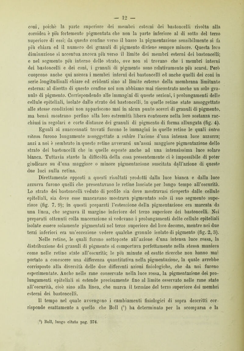 coni, poiché la parte superiore dei membri esterni dei bastoncelli rivolta alla coroidea è piu fortemente pigmentata che non la parte inferiore al di sotto del terzo superiore di essi; da questo confine verso il basso la pigmentazione sensibilmente si fa più chiara ed il numero dei granuli di pigmento diviene sempre minore. Questa loro diminuzione si accentua ancora più verso il limite dei membri esterni dei bastoncelli; e nel segmento più interno dello strato, ove non si trovano che i membri interni dei bastoncelli e dei coni, i granuli di pigmento sono relativamente più scarsi. Però cuoprono anche qui ancora i membri interni dei bastoncelli ed anche quelli dei coni in serie longitudinali chiare ed evidenti sino al limite esterno della membrana limitante esterna: al disotto di questo confine noi non abbiamo mai riscontrato anche un solo gra- nulo di pigmento. Corrispondendo alle immagini di queste sezioni, i prolungamenti delle cellule epiteliali, isolate dallo strato dei bastoncelli, in quelle retine state assoggettato alle stesse condizioni non appariscono mai in alcun punto scevri di grauuli di pigmento, ma bensì mostrano perfino alla loro estremità libera contenere nella loro sostanza rac- chiusi in regolari e corte distanze dei granuli di pigmento di forma allungata (fig. 4). Eguali ai suaccennati trovati furono le immagini in quelle retine le quali intra vitam furono lungamente assoggettate a subire l’azione d’una intensa luce azzurra; anzi a noi è sembrato in queste retine avverarsi un’assai maggiore pigmentazione dello strato dei bastoncelli che in quelle esposte anche ad una intensissima luce solaro bianca. Tuttavia stante la difficoltà della cosa presentemente ci è impossibile di poter giudicare su d’una maggiore o minore pigmentazione suscitata dall’azione di queste due luci sulla retina. Direttamente opposti a questi risultati prodotti dalla luce bianca e dalla luce azzurra furono quelli che presentavano le retine lasciate per lungo tempo all’oscurità. Lo strato dei bastoncelli veduto di profilo sia dove mostravasi ricoperto dalle cellule epiteliali, sia dove esse mancavano mostrava pigmentato solo il suo segmento supe- riore (fig. 7, 9); in questi preparati l’estensione della pigmentazione era marcata da una linea, che segnava il margine inferiore del terzo superiore dei bastoncelli. Nei preparati ottenuti colla macerazione si vedevano i prolungamenti delle cellule epiteliali isolate essere solamente pigmentati nel terzo superiore del loro decorso, mentre nei duo terzi inferiori era un’eccezione vedere qualche granulo isolato di pigmento (fig. 2, 3). Nelle retine, le quali furono sottoposte all’azione d’una intensa luce rossa, la distribuzione dei granuli di pigmento si comportava perfettamente nella stessa maniera come nelle retine state all’oscurità; le più minute ed esatte ricerche non hanno mai portato a conoscere una differenza quantitativa nella pigmentazione, la quale avrebbe corrisposto alla diversità delle due differenti azioni fisiologiche, che da noi furono esperimentate. Anche nelle rane conservate nella luce rossa, la pigmentazione dei pro- lungamenti epiteliali si estende precisamente fino al limite osservato nelle rane stato all’oscurità, cioè sino alla linea, che marca il termine del terzo superiore dei membri esterni dei bastoncelli. 11 tempo nel quale avvengono i cambiamenti fisiologici di sopra descritti cor- risponde esattamente a quello che Boll (') ha determinato per la scomparsa e la (*) (*) Boll, luogo citato pag. 374.