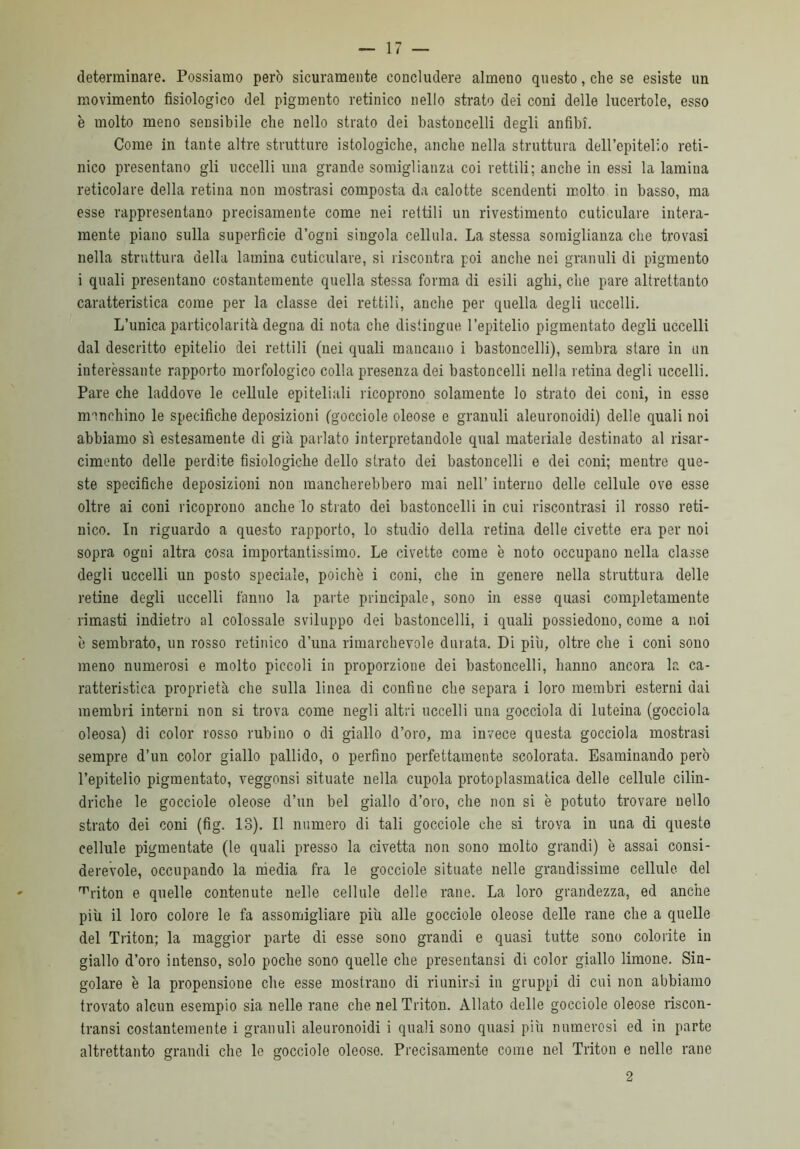 determinare. Possiamo però sicuramente concludere almeno questo, che se esiste un movimento fisiologico del pigmento retinico nello strato dei coni delle lucertole, esso è molto meno sensibile che nello strato dei bastoncelli degli anfibi. Come in tante altre strutturo istologiche, anche nella struttura dell’epitelio reti- nico presentano gli uccelli una grande somiglianza coi rettili; anche in essi la lamina reticolare della retina non mostrasi composta da calotte scendenti molto in basso, ma esse rappresentano precisamente come nei rettili un rivestimento cuticulare intera- mente piano sulla superficie d’ogni singola cellula. La stessa somiglianza che trovasi nella struttura della lamina cuticulare, si riscontra poi anche nei granuli di pigmento i quali presentano costantemente quella stessa forma di esili aghi, che pare altrettanto caratteristica come per la classe dei rettili, anche per quella degli uccelli. L’unica particolarità degna di nota che distingue l’epitelio pigmentato degli uccelli dal descritto epitelio dei rettili (nei quali mancano i bastoncelli), sembra stare in un interessante rapporto morfologico colla presenza dei bastoncelli nella retina degli uccelli. Pare che laddove le cellule epiteliali ricoprono solamente lo strato dei coni, in esse manchino le specifiche deposizioni (gocciole oleose e granuli aleuronoidi) delle quali noi abbiamo sì estesamente di già parlato interpretandole qual materiale destinato al risar- cimento delle perdite fisiologiche dello strato dei bastoncelli e dei coni; mentre que- ste specifiche deposizioni non mancherebbero mai nell’ interno delle cellule ove esse oltre ai coni ricoprono anche lo strato dei bastoncelli in cui riscontrasi il rosso reti- nico. In riguardo a questo rapporto, lo studio della retina delle civette era per noi sopra ogni altra cosa importantissimo. Le civette come è noto occupano nella classe degli uccelli un posto speciale, poiché i coni, che in genere nella struttura delle retine degli uccelli fanno la parte principale, sono in esse quasi completamente rimasti indietro al colossale sviluppo dei bastoncelli, i quali possiedono, come a noi 'e sembrato, un rosso retinico d’una rimarchevole durata. Di più, oltre che i coni sono meno numerosi e molto piccoli in proporzione dei bastoncelli, hanno ancora la ca- ratteristica proprietà che sulla linea di confine che separa i loro membri esterni dai membri interni non si trova come negli altri uccelli una gocciola di luteina (gocciola oleosa) di color rosso rubino o di giallo d’oro, ma invece questa gocciola mostrasi sempre d’un color giallo pallido, o perfino perfettamente scolorata. Esaminando però l’epitelio pigmentato, veggonsi situate nella cupola protoplasmatica delle cellule cilin- driche le gocciole oleose d’un bel giallo d’oro, che non si è potuto trovare nello strato dei coni (fig. 13). Il numero di tali gocciole che si trova in una di queste cellule pigmentate (le quali presso la civetta non sono molto grandi) è assai consi- derevole, occupando la media fra le gocciole situate nelle grandissime cellule del ^riton e quelle contenute nelle cellule delle rane. La loro grandezza, ed anche più il loro colore le fa assomigliare più alle gocciole oleose delle rane che a quelle del Triton; la maggior parte di esse sono grandi e quasi tutte sono colorite in giallo d’oro intenso, solo poche sono quelle che presentatisi di color giallo limone. Sin- golare è la propensione che esse mostrano di riunirsi in gruppi di cui non abbiamo trovato alcun esempio sia nelle rane che nel Triton. Allato delle gocciole oleose riscon- transi costantemente i granuli aleuronoidi i quali sono quasi più numerosi ed in parte altrettanto grandi clic le gocciole oleoso. Precisamente come nel Triton e nelle rane 2