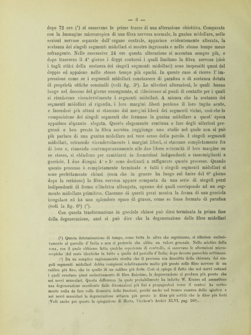 dopo 72 ore (') si osservano le prime tracce di una alterazione obiettiva. Comparata con la immagine microscopica di una fibra nervosa normale, la guaina midollare, nelle sezioni nervose separate dall’ organo centrale, apparisce evidentemente alterata, la sostanza dei singoli segmenti midollari si mostra ingrossata e nello stesso tempo meno refrangente. Nelle successive 24 ore questa alterazione si accentua sempre più, e dopo trascorso il 4° giorno i doppi contorni i quali limitano la fibra nervosa (cioè i tagli ottici della sostanza dei singoli segmenti midollari) sono inspessiti quasi del doppio ed appaiono nello stesso tempo più opachi. In questo caso si riceve l’im- pressione come se i segmenti midollari constassero di parafina o di sostanza dotata di proprietà ottiche consimili (vedi fìg. 3a). Le ulteriori alterazioni, le quali hanno luogo nel decorso del giorno susseguente, si riferiscono ai punti di contatto per i quali si riuniscono vicendevolmente i segmenti midollari. A misura che la sostanza dei segmenti midollari si rigonfia, i loro margini liberi perdono il loro taglio acuto, e facendosi più ottusi si staccano dai margini liberi dei segmenti vicini, così che la composizione dei singoli segmenti che formano la guaina midollare a quest' epoca apparisce alquanto slegata. Questo slegamento continua a fare degli ulteriori pro- gressi e ben presto la fibra nervosa raggiunge uno stadio nel quale nou si può più parlare di una guaina midollare nel vero senso della parola. I singoli segmenti midollari, retraendo vicendevolmente i margini liberi, si staccano completamente fra di loro e, riunendo contemporaneamente alle due libere estremità il loro margine su se stesso, si chiudono per cambiarsi in formazioni indipendenti e rassomiglianti a gocciole. I due disegni 4' e 5° sono destinati a raffigurare questo processo. Quando questo processo è completamente terminato e tutti i singoli segmenti midollari si sono perfettamente chiusi (cosa che in genere ha luogo sul finire del 6° giorno dopo la recisione) la fibra nervosa appare composta da una serie di singoli pezzi indipendenti di forma cilindrica allungata, ognuno dei quali corrisponde ad un seg- mento midollare primitivo. Ciascuno di questi pezzi mostra la forma di una gocciola irregolare ed ha uno splendore opaco di grasso, come se fosse formato di parafina (vedi la fìg. 6a) (2). Con questa trasformazione in gocciole chiuse può dirsi terminata la prima fase della degenerazione, anzi si può dire che la degenerazione delle fibre midollari (1) Questa determinazione di tempo, come tutte le altre che seguiranno, si riferisce esclusi- vamente al porcello d’ India e non si pretende che abbia un valore generale. Nello sciatico della rana, con il quale abbiamo fatta qualche esperienza di controllo, si osservano le alterazioni micro- scopiche (del resto identiche in tutto a quelle del porcello d’India) dopo decorse parecchie settimane. (2) Da un semplice ragionamento risulta che il processo ora descritto della chiusura dei sin- goli segmenti midollari debba compiersi relativamente molto più presto nelle fibre nervose di un calibro più fino, che in quelle di un calibro più forte. Così si spiega il fatto che nei nervi cutanei i quali constano quasi esclusivamente di fibre finissime, la degenerazione si produca più presto che nei nervi muscolari. Questa differenza la quale probabilmente ha indotto W. Krause ad ammettere uua degenerazione esordiente dalle diramazioni più fini e propagantesi verso il centro) ha certa- mente nulla da fare colla diversità delle funzioni, perchè anche nel tronco comune dello sciatico e nei nervi muscolari la degenerazione attacca più presto le fibre più sottili che le fibre più forti 'Vedi anche per questo la spiegazione di Hertz, A irehow’s Archiv XLVI, pag. 260;.